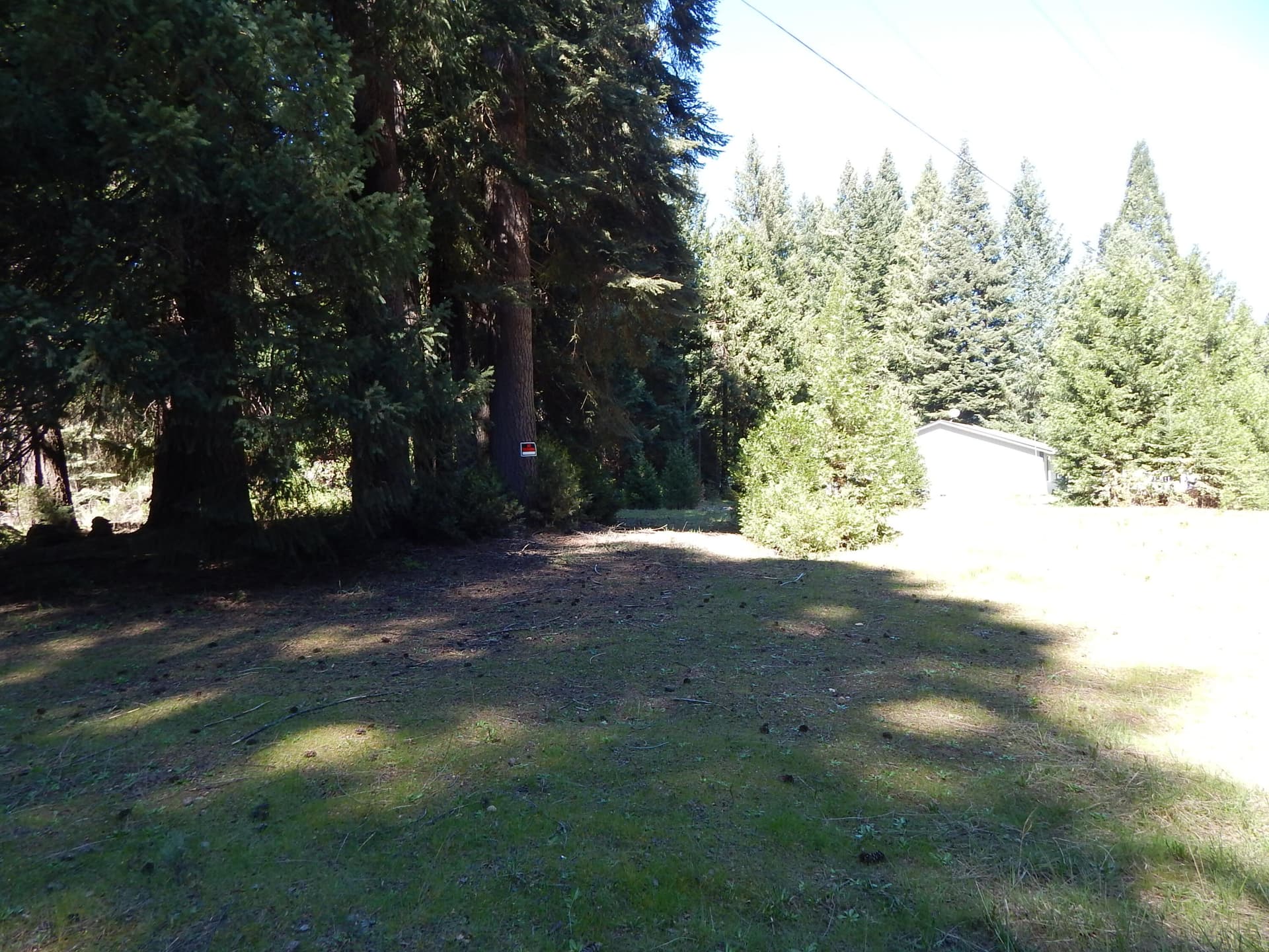 DSCN6051. Photo 2 of 6, Red Blanket Road, Prospect, OR 97536