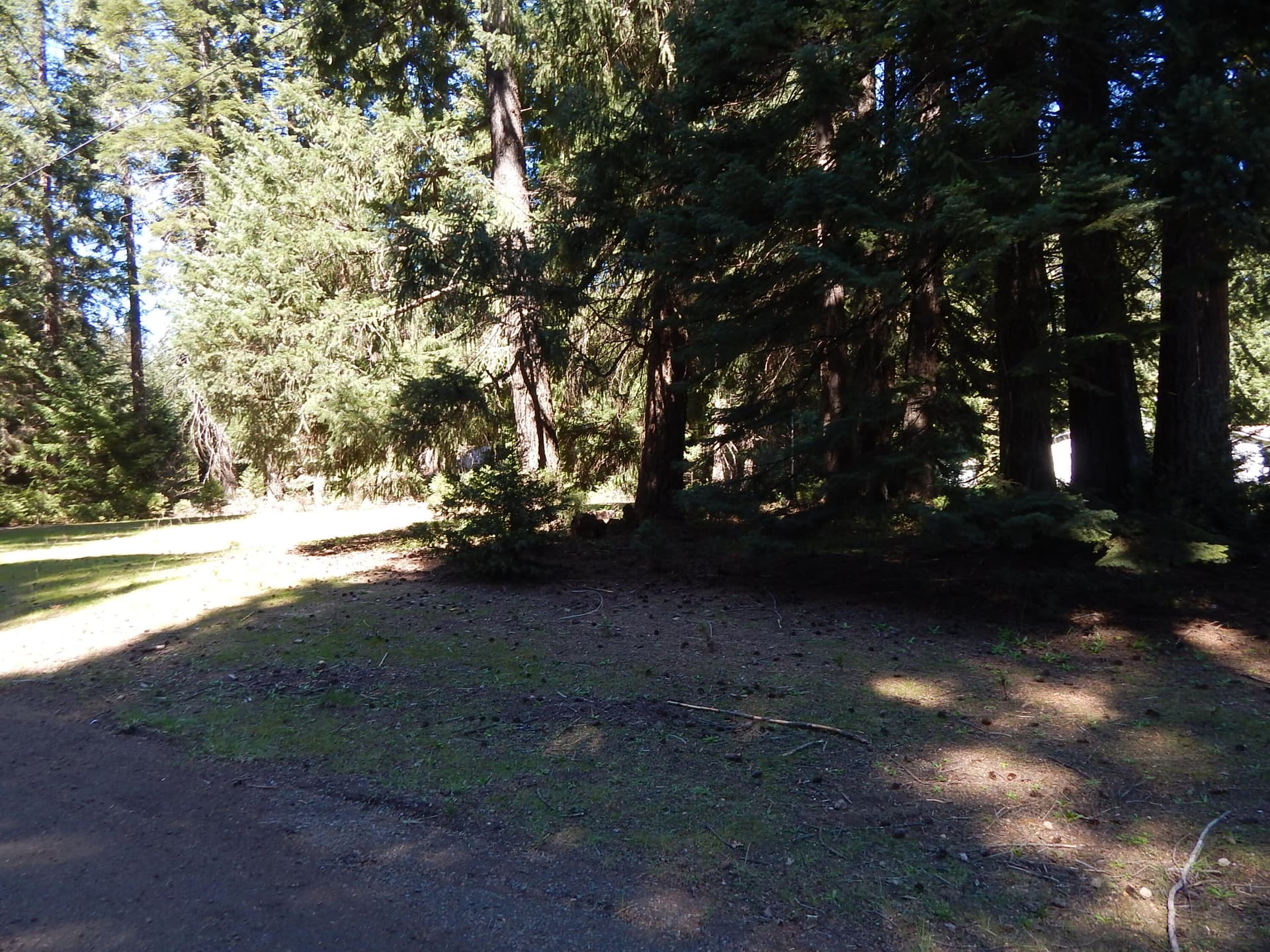 DSCN6052. Photo 3 of 6, Red Blanket Road, Prospect, OR 97536