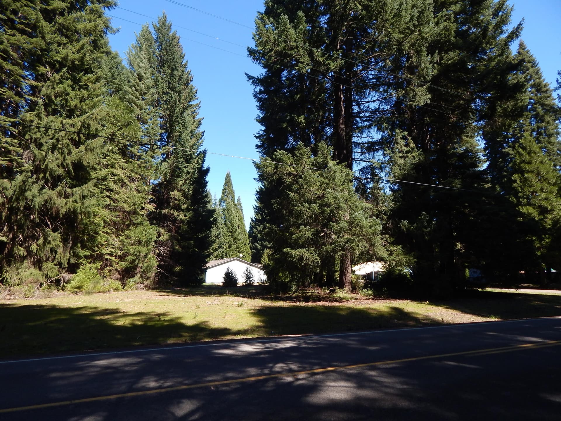 DSCN6053. Photo 4 of 6, Red Blanket Road, Prospect, OR 97536