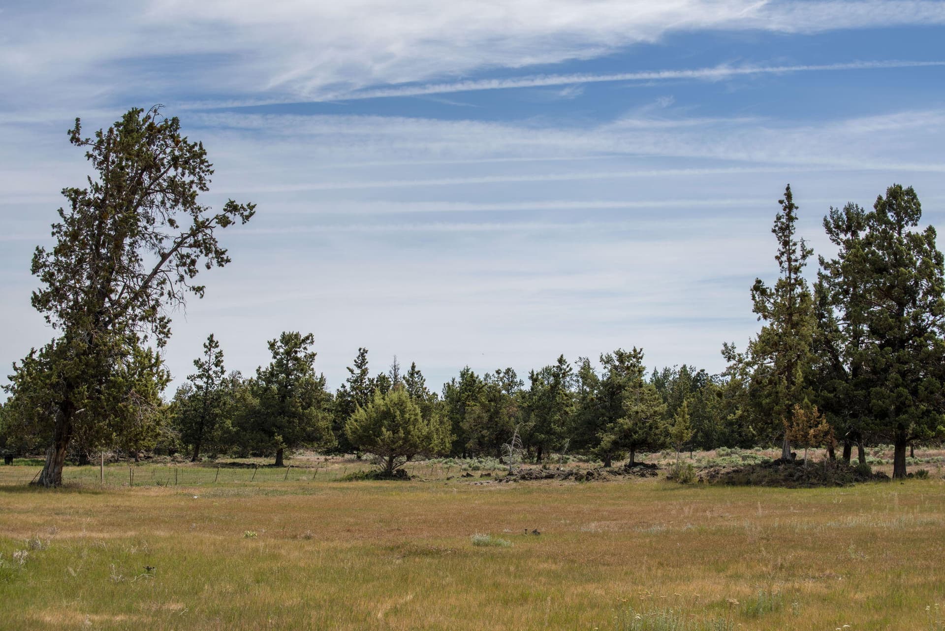9-web-or-mls-DSC_7662. Photo 5 of 18, 63320 Deschutes Market Road, Bend, OR 97701
