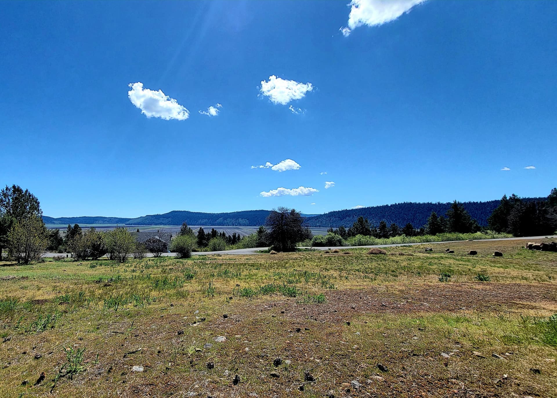 Lot. Photo 2 of 7, 0 Crossbill Drive Unit Lot 988, Klamath Falls, OR 97601
