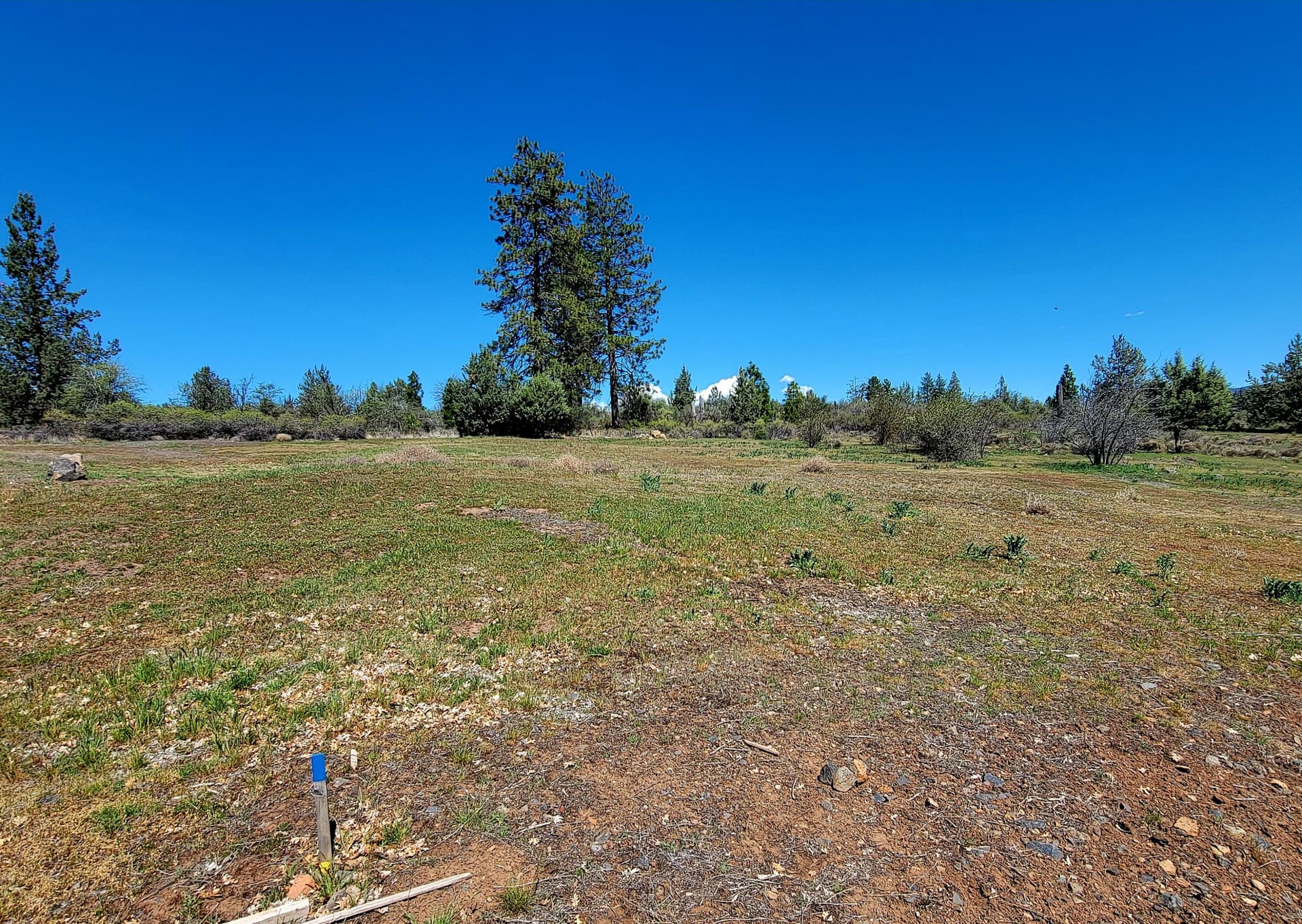 20260406_133824. Photo 4 of 7, 0 Crossbill Drive Unit Lot 988, Klamath Falls, OR 97601