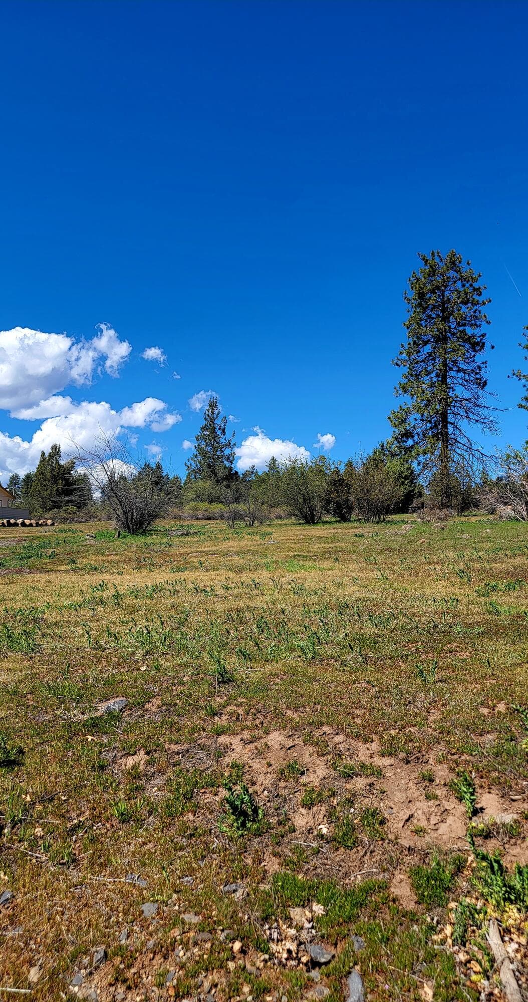 20260406_134146. Photo 5 of 7, 0 Crossbill Drive Unit Lot 988, Klamath Falls, OR 97601