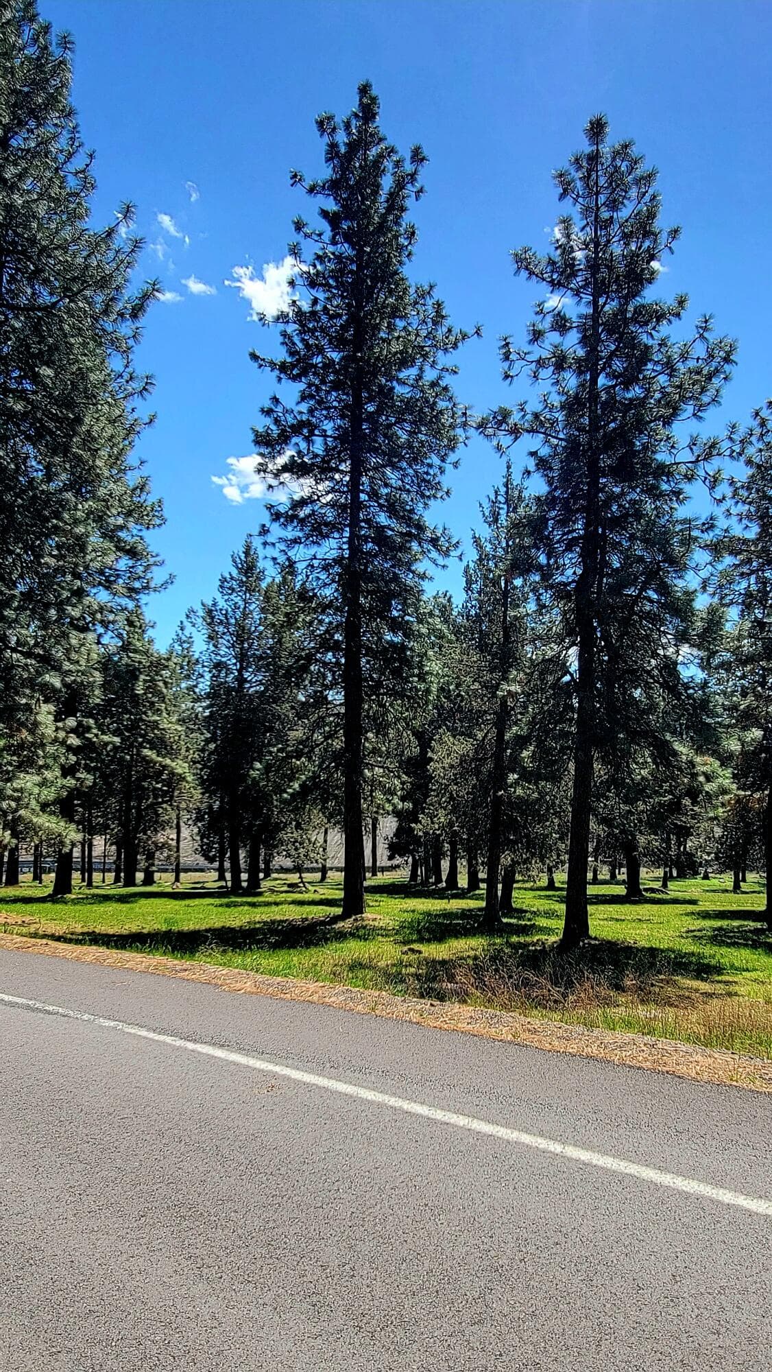 20260406_135420. Photo 4 of 7, 0 Turnstone Drive Unit Lot 1022, Klamath Falls, OR 97601
