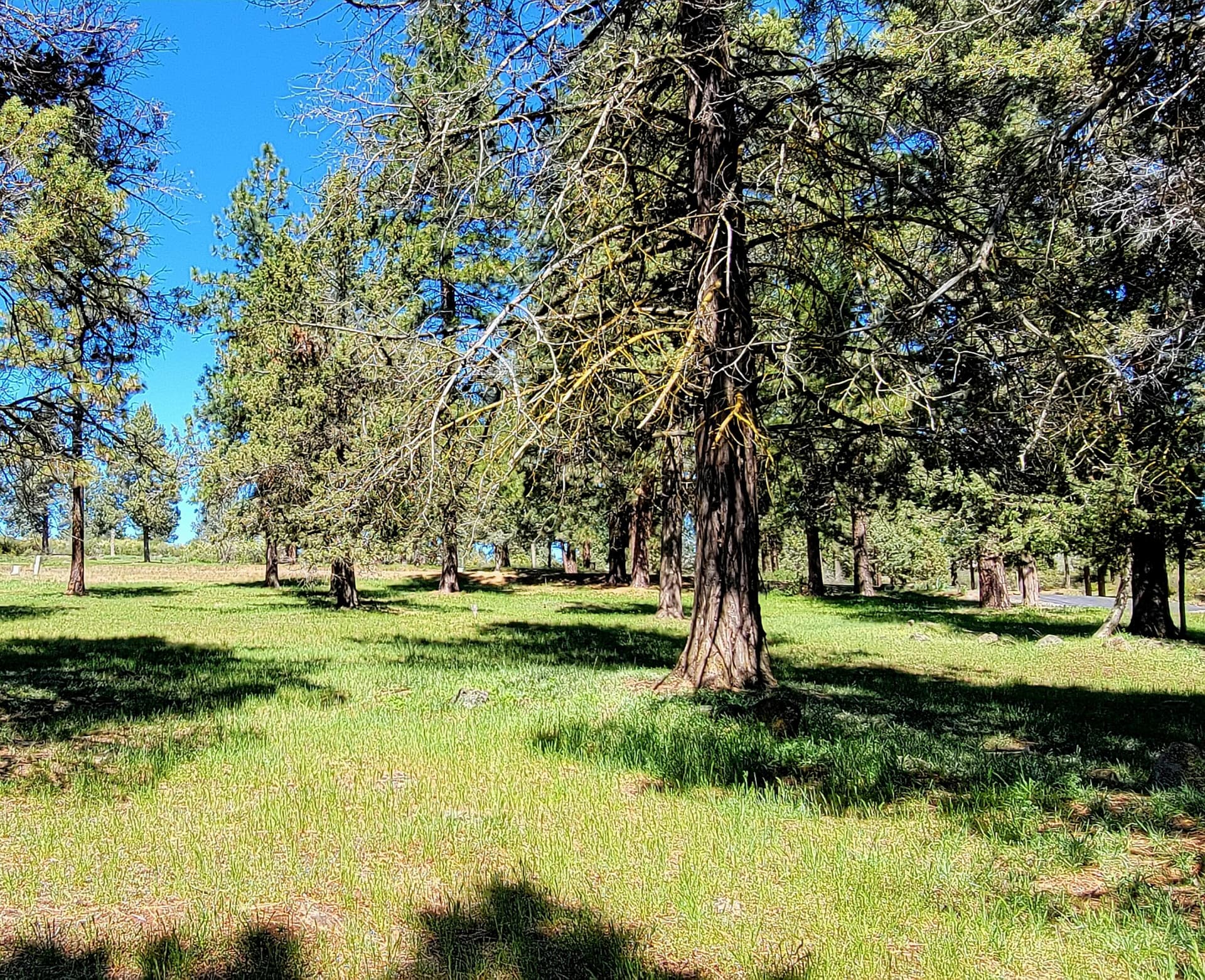 20260406_135050. Photo 3 of 7, 0 Turnstone Drive Unit Lot 1022, Klamath Falls, OR 97601