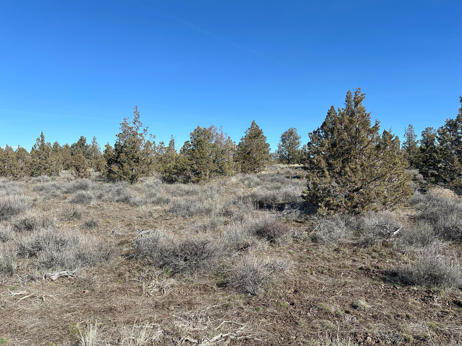 IMG_9062. Photo 2 of 9, SE Odessa Road Unit Lot 132, Prineville, OR 97754
