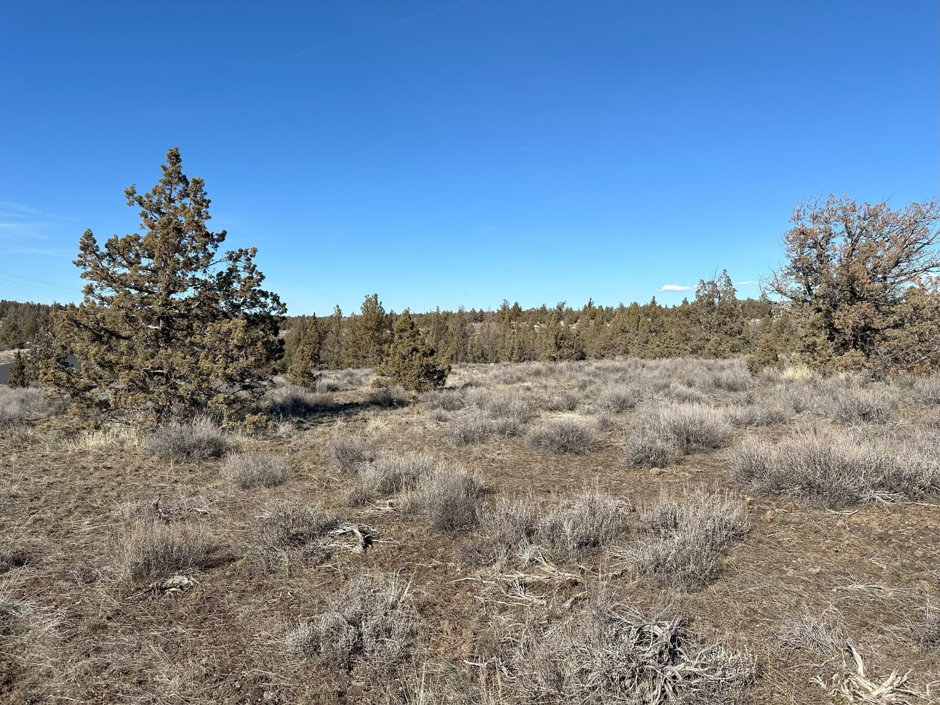 IMG_9063. Photo 3 of 9, SE Odessa Road Unit Lot 132, Prineville, OR 97754