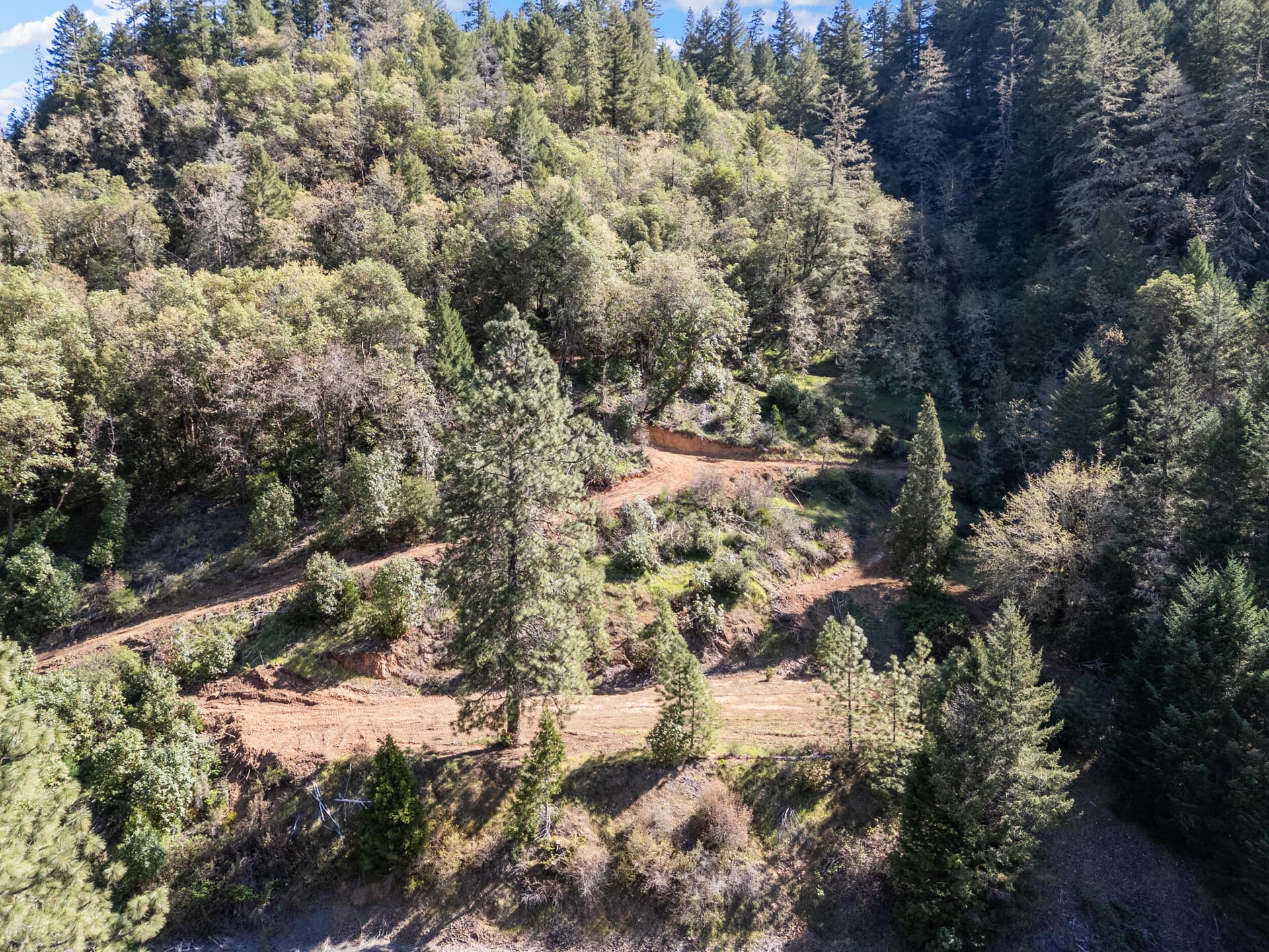 3_101 coyote creek road tl1702 & tl1900,. Photo 5 of 17, 101 Coyote Creek Road, Wolf Creek, OR 97497