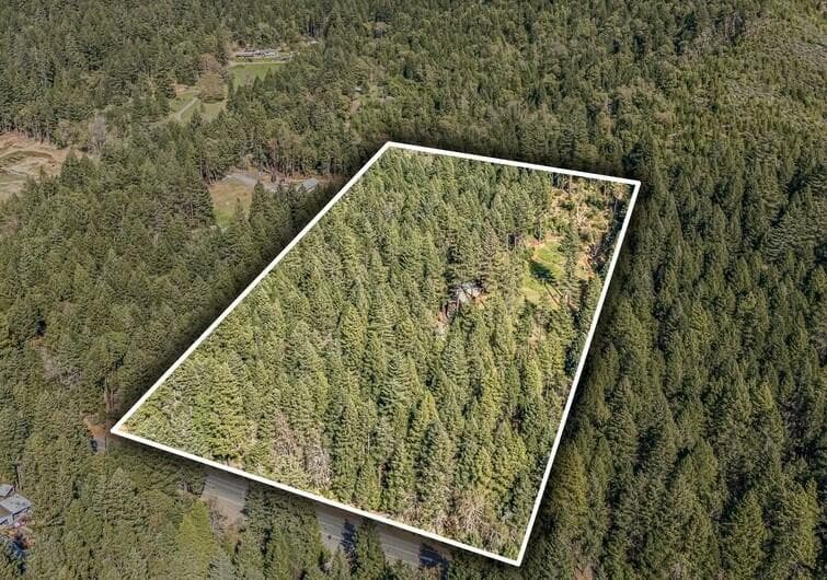 707 aerial overlay best. Photo 4 of 54, 707 McMullen Creek Road, Selma, OR 97538