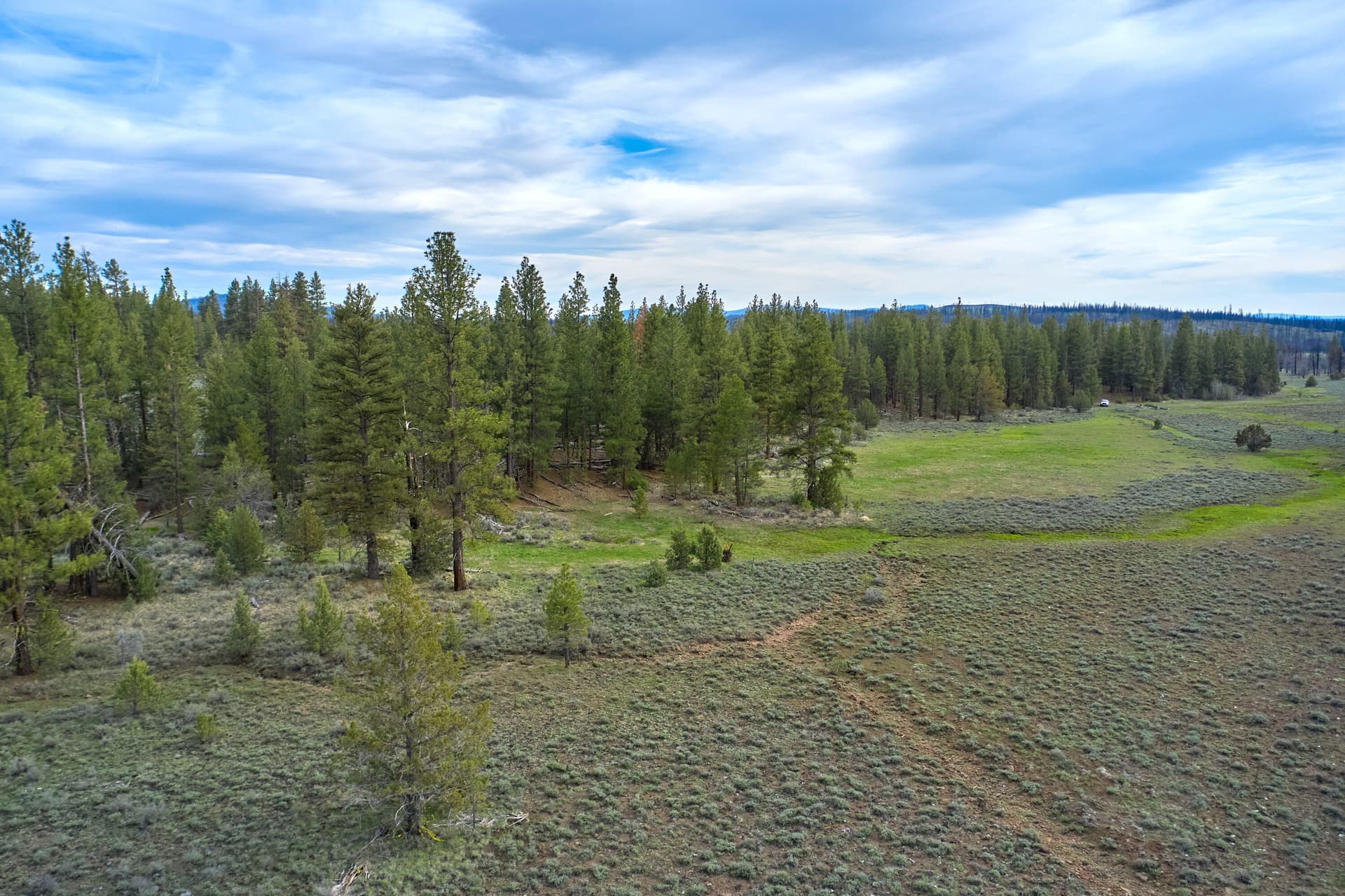 Louse Lake-13(1). Photo 1 of 15, 0 NF-3207, Bly, OR 97622