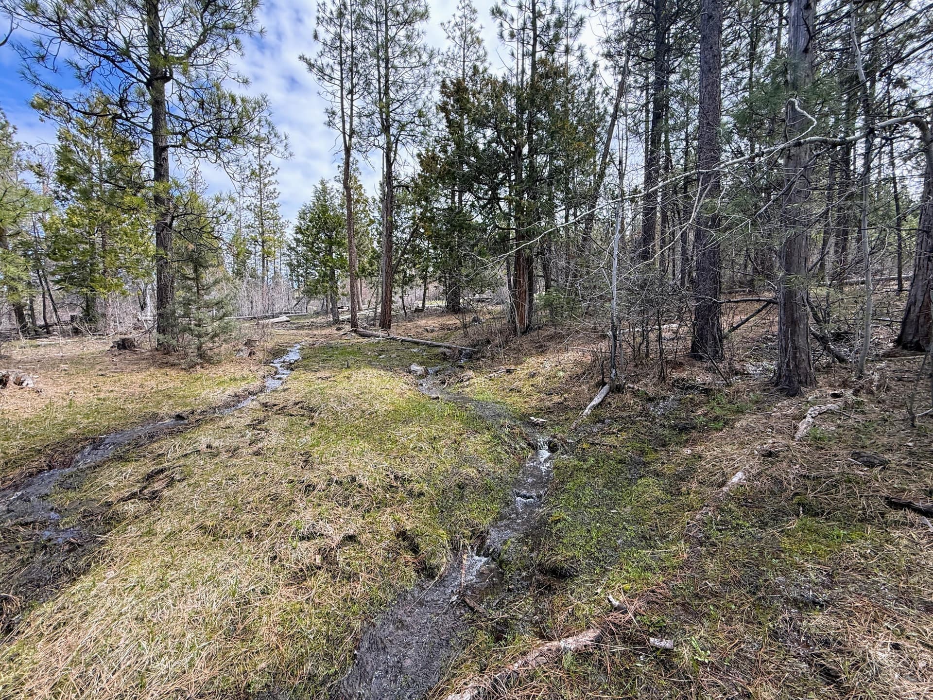 IMG_0812. Photo 1 of 12, 0 Yellowjacket Springs Rd, Beatty, OR 97621
