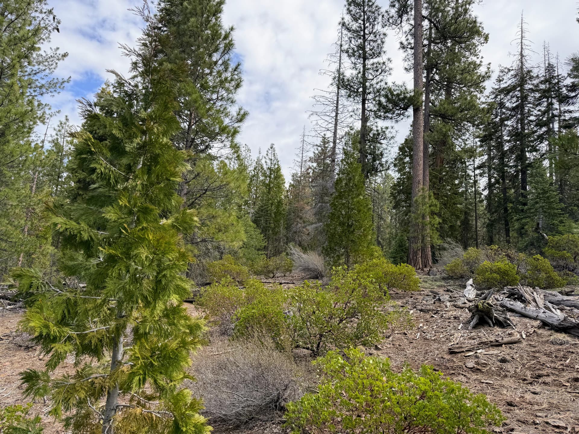 IMG_0802. Photo 3 of 12, 0 Yellowjacket Springs Rd, Beatty, OR 97621