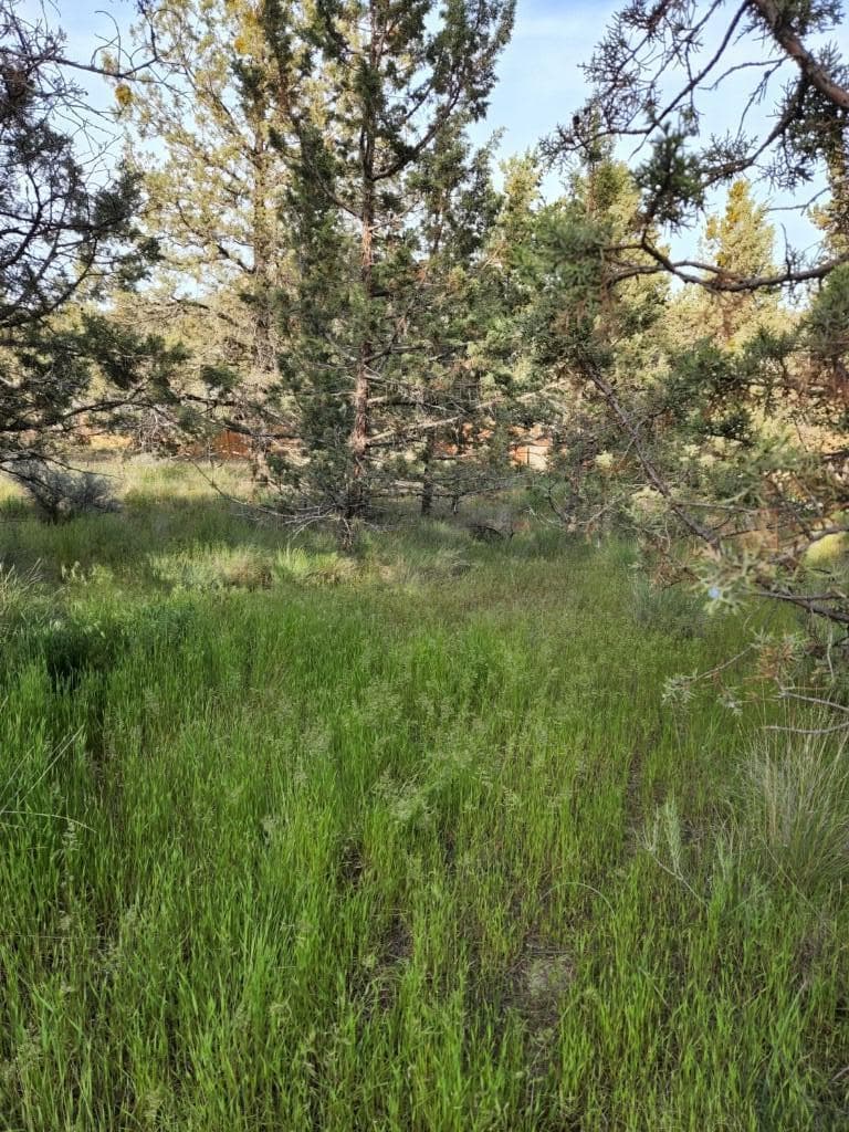 NW Jordan Avenue, Prineville,. Photo 2 of 10, NW Jordan Avenue, Prineville, OR 97754