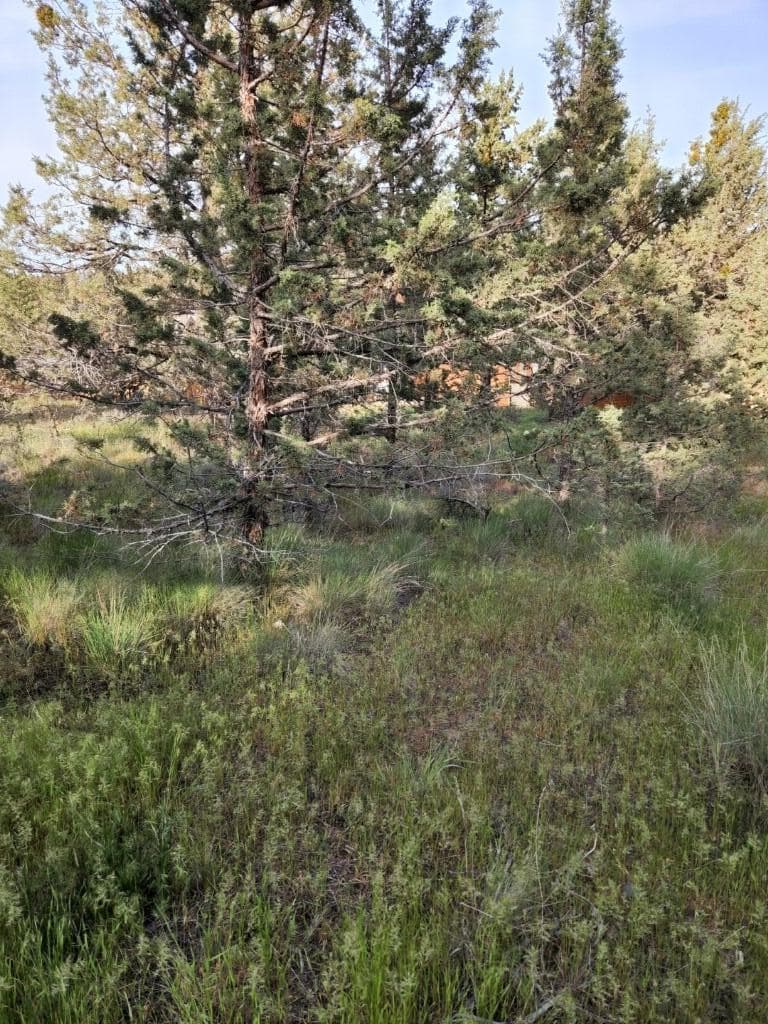 NW Jordan Avenue, Prineville,. Photo 3 of 10, NW Jordan Avenue, Prineville, OR 97754