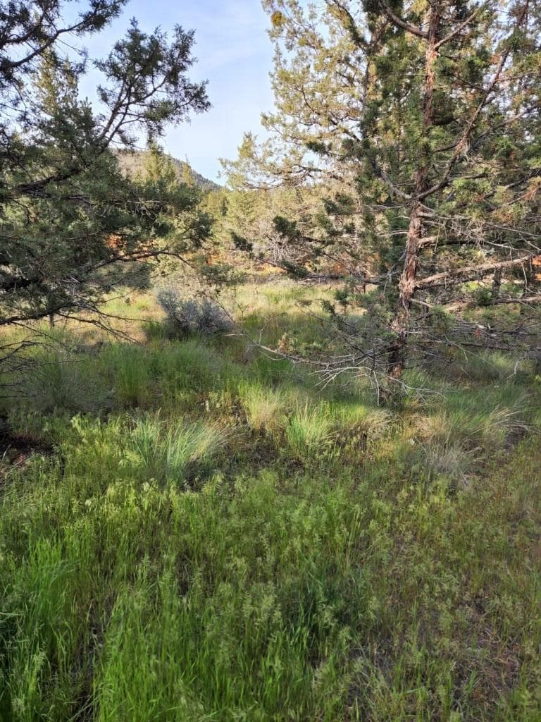 NW Jordan Avenue, Prineville,. Photo 4 of 10, NW Jordan Avenue, Prineville, OR 97754
