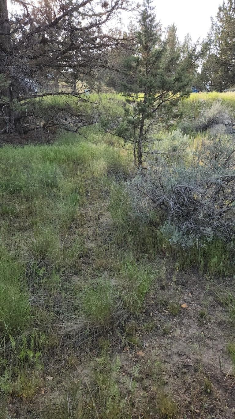 NW Jordan Avenue, Prineville,. Photo 5 of 10, NW Jordan Avenue, Prineville, OR 97754