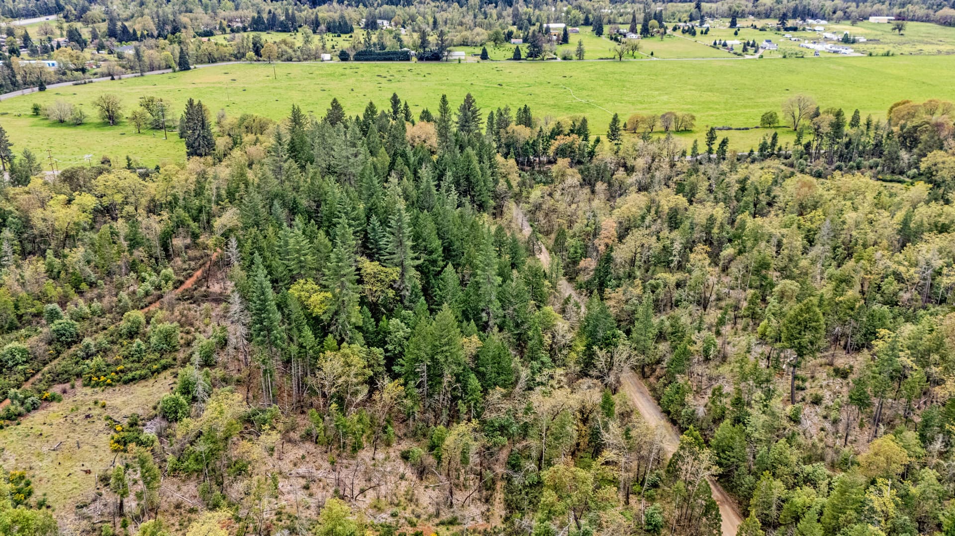 323-03. Photo 5 of 11, 323 Valley Heights Road, Selma, OR 97538