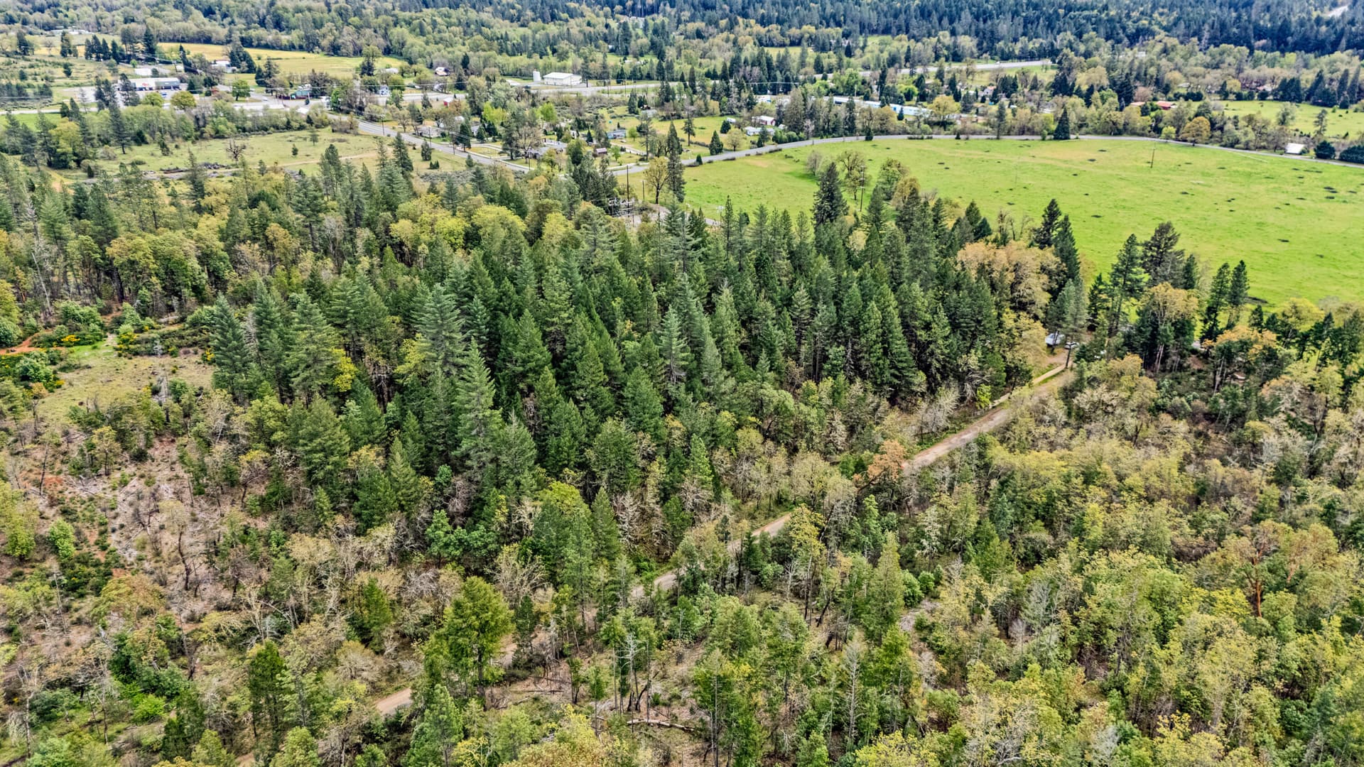 323-07. Photo 4 of 11, 323 Valley Heights Road, Selma, OR 97538
