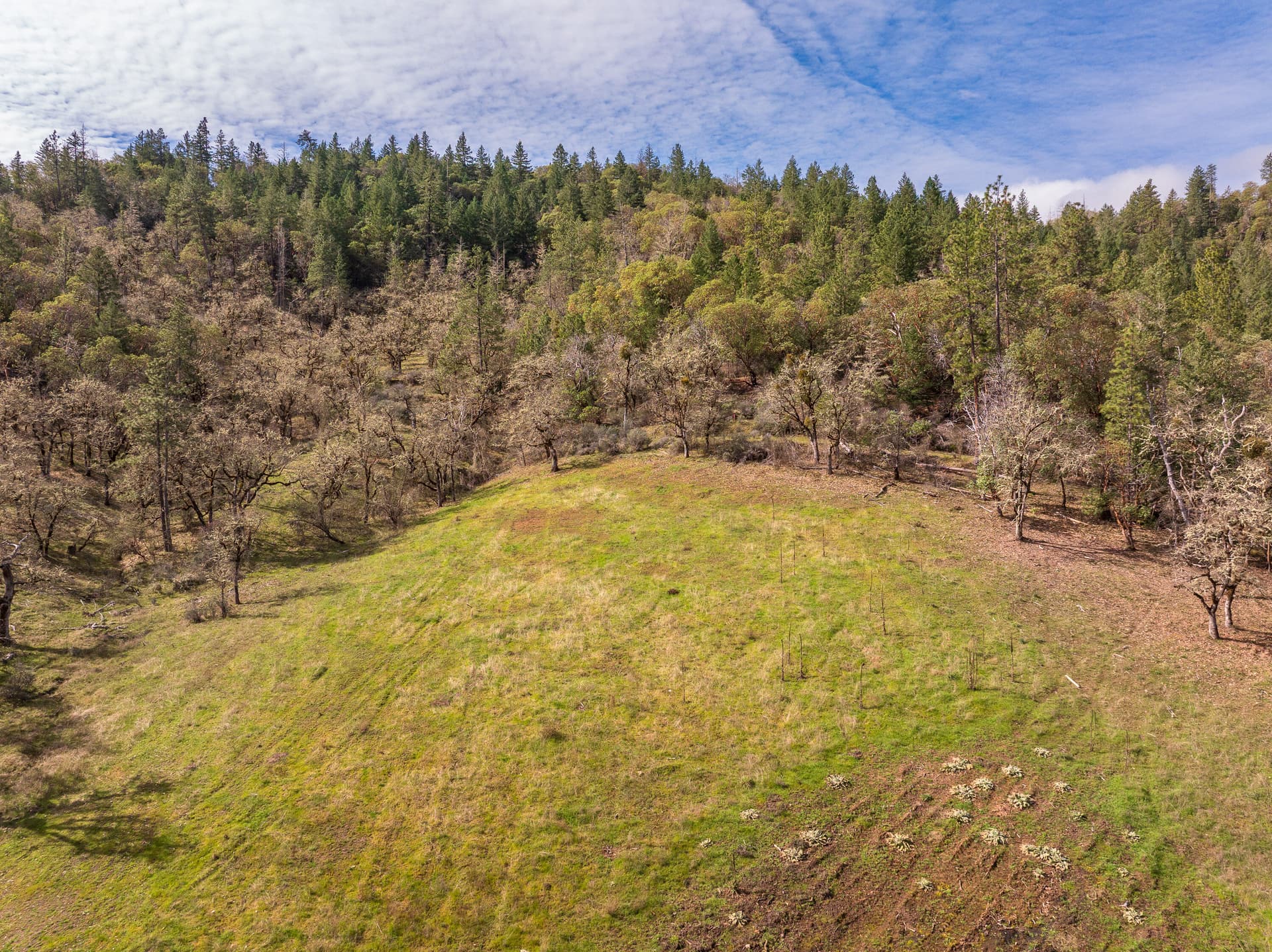 MessingerRd-7Lots-026. Photo 3 of 9, Messinger Road Unit 500, Grants Pass, OR 97527
