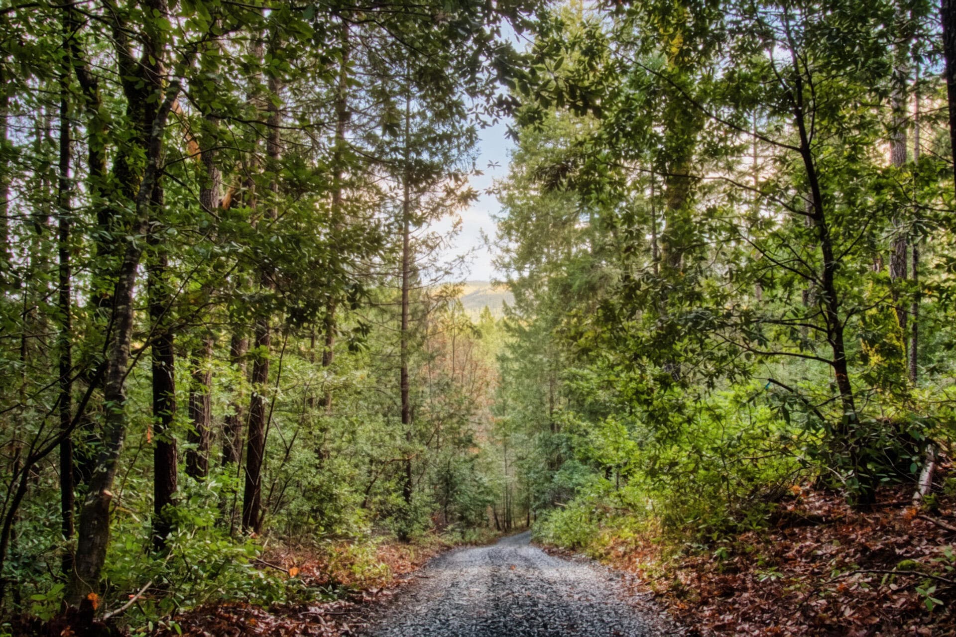 6181. Photo 1 of 10, 6181 Takilma Road, Cave Junction, OR 97523