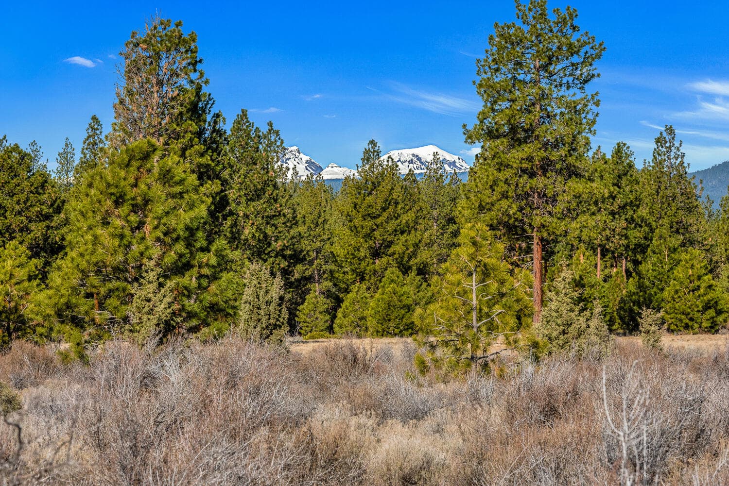 OReilly_20240402_8_295837_a_72ppi. Photo 5 of 27, 18945 Macalpine Loop, Bend, OR 97702