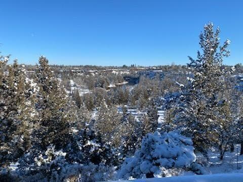 Lot 160 terrain. Photo 2 of 6, 16000 SW Brasada Ranch Road Unit 160, Powell Butte, OR 97753