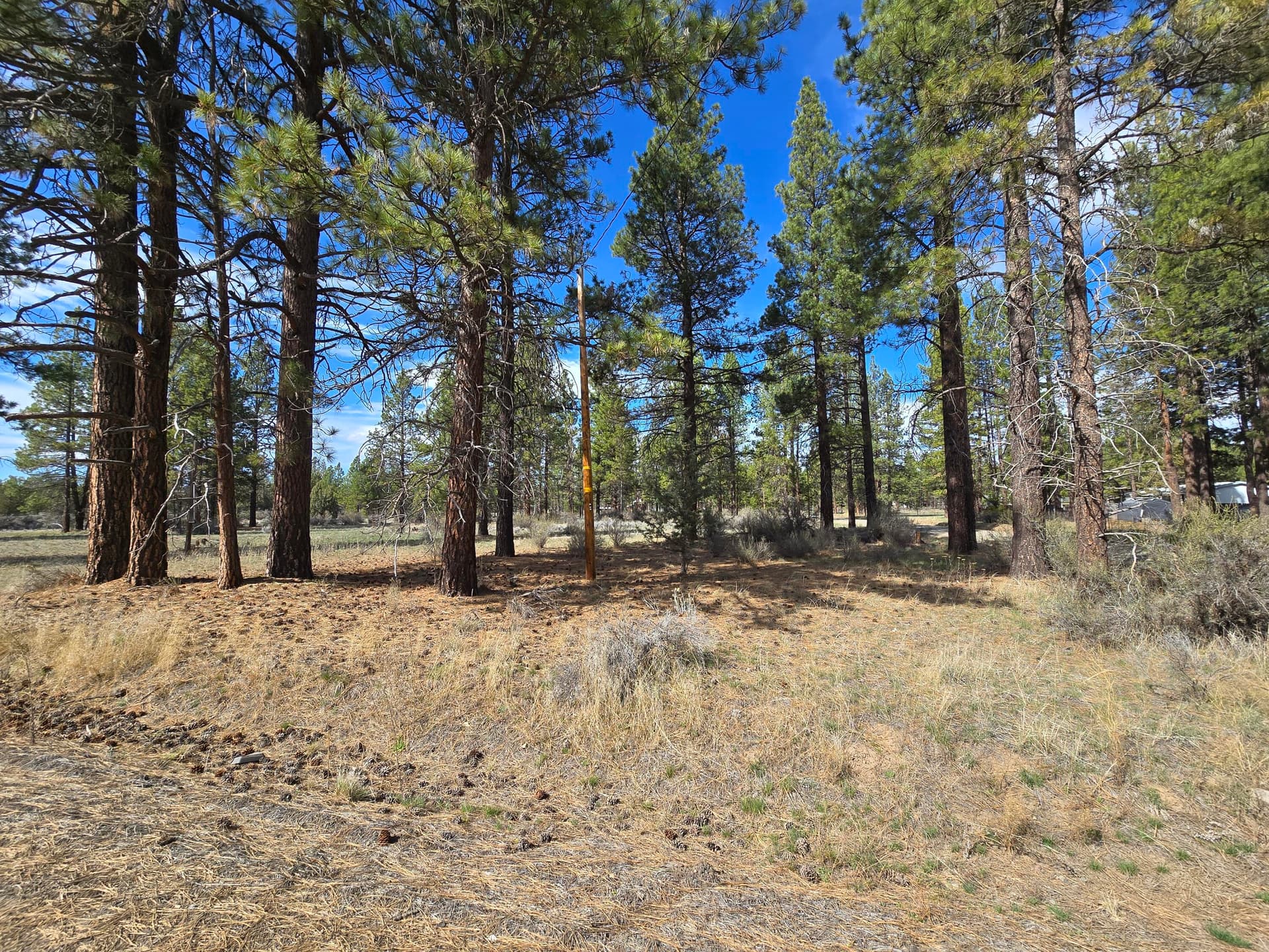 20260328_150122. Photo 5 of 11, Keno Springs Road Unit 25, Bonanza, OR 97623