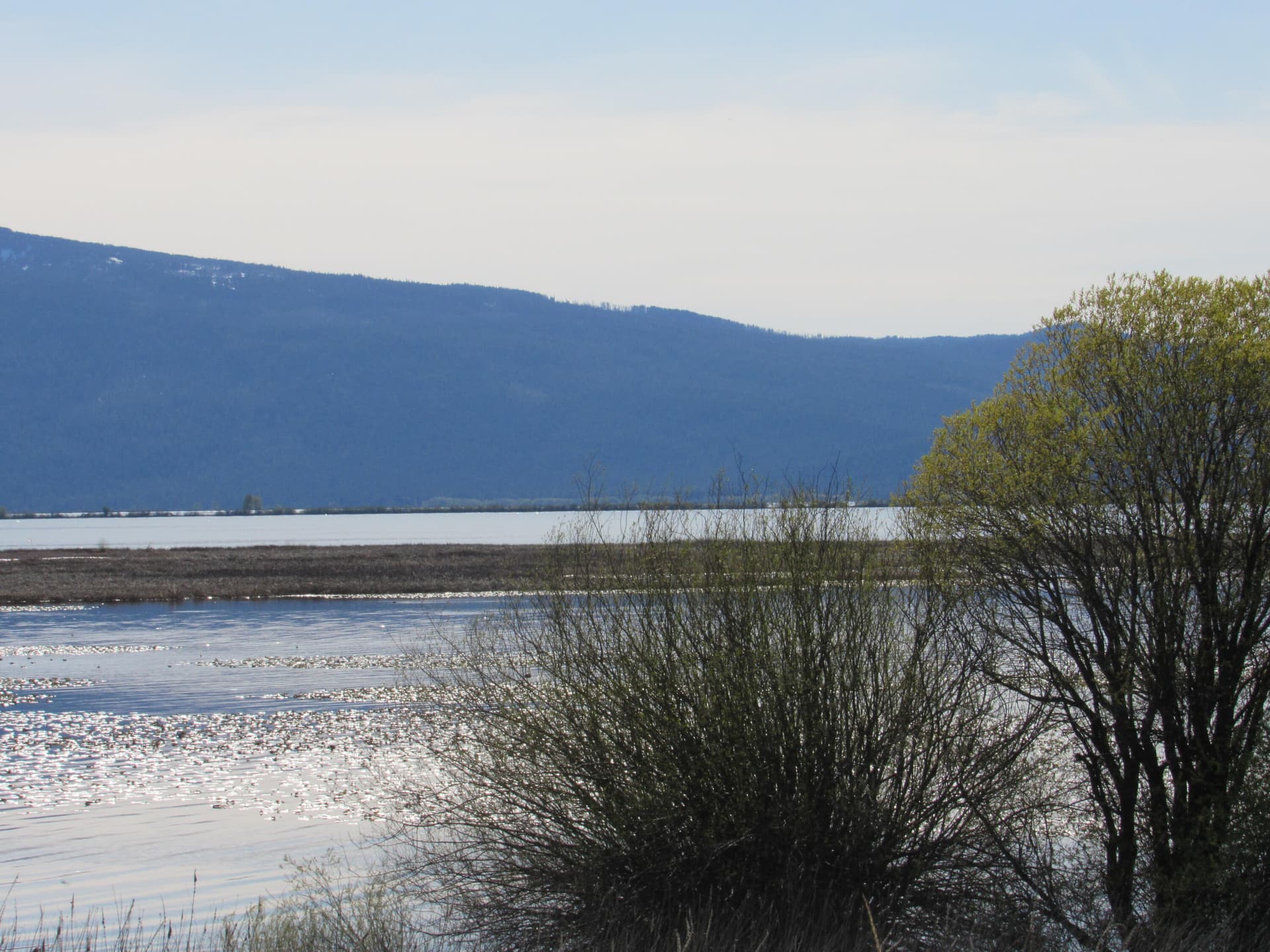 IMG_3436. Photo 2 of 9, 0 Modoc Point Road, Chiloquin, OR 97624