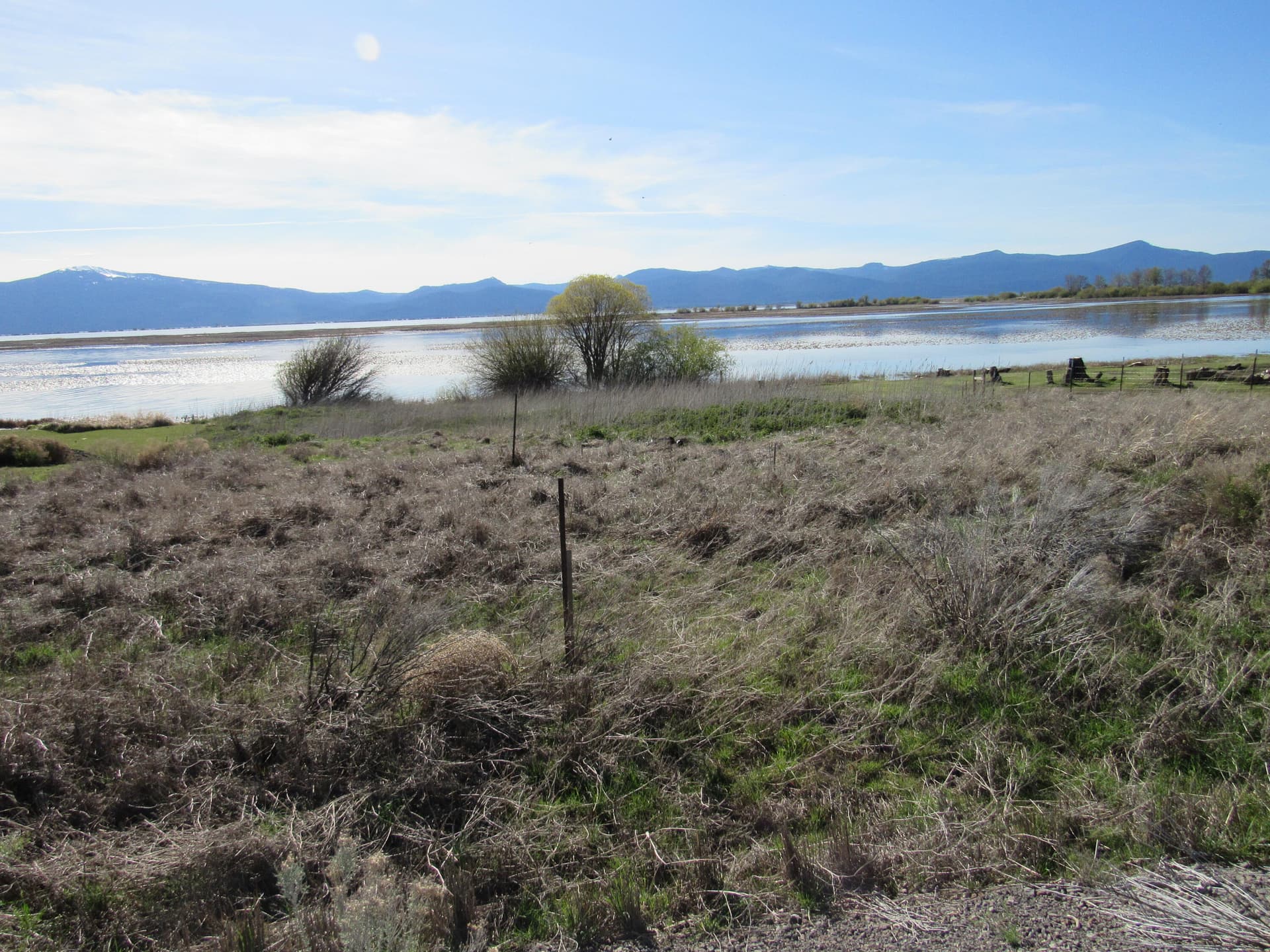 IMG_3431. Photo 4 of 9, 0 Modoc Point Road, Chiloquin, OR 97624