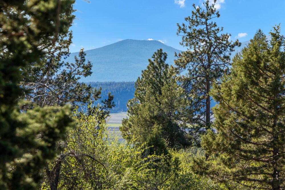 5 - 856BeattysButteDrLot-3. Photo 5 of 10, 856 Beattys Butte Drive, Klamath Falls, OR 97601