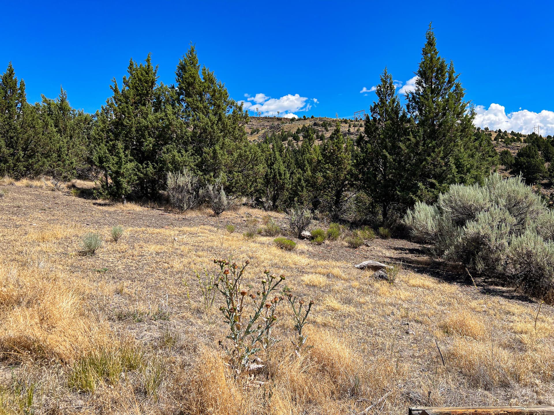 IMG_8042. Photo 3 of 11, 219 Valley View Drive, John Day, OR 97845