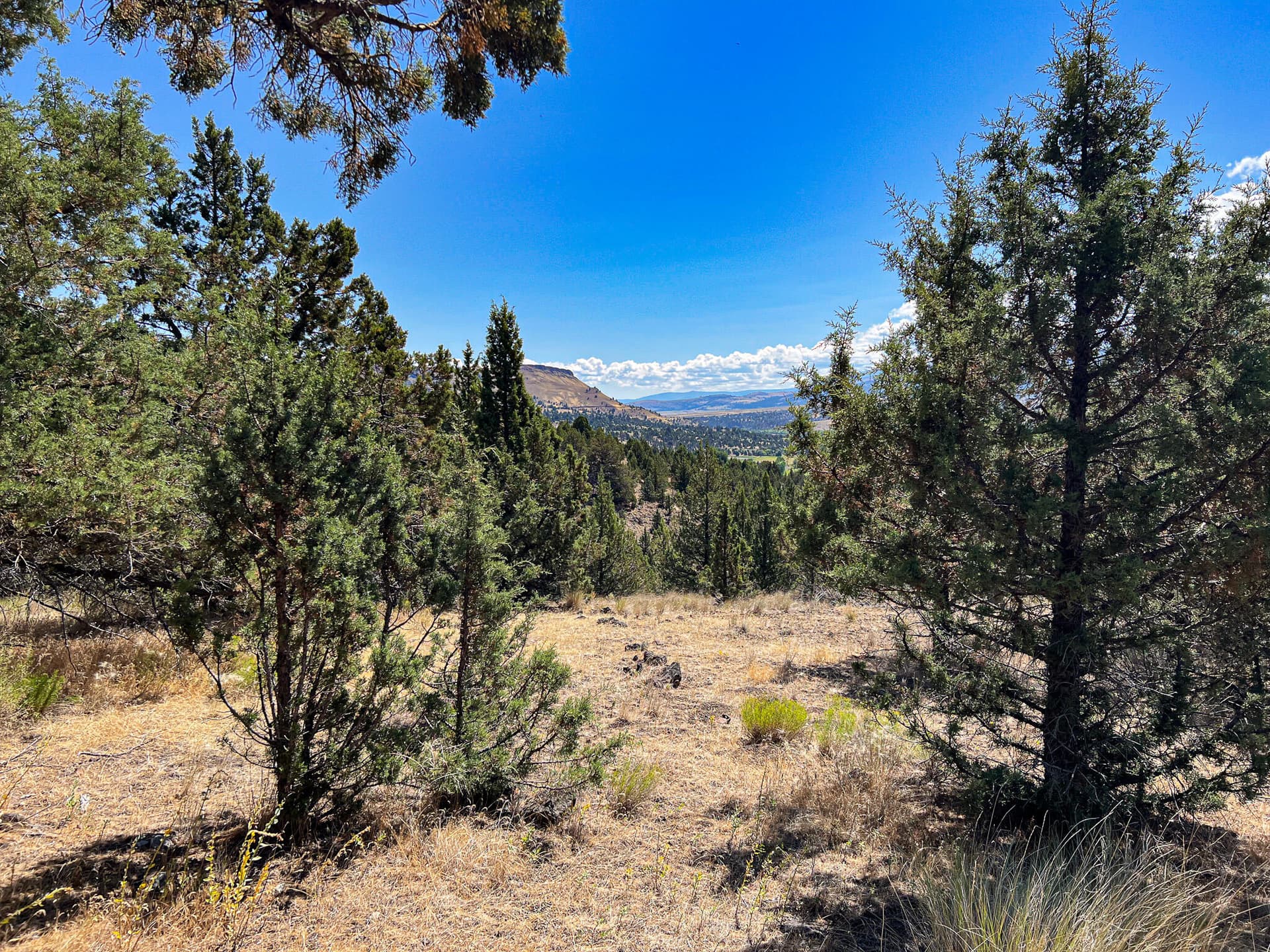 IMG_8045. Photo 4 of 11, 219 Valley View Drive, John Day, OR 97845