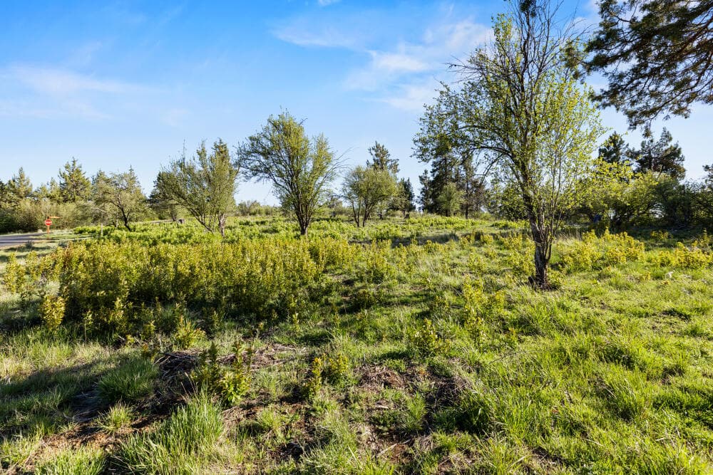 6138OlsonMountainWyLot-2. Photo 5 of 26, 6138 Olson Mountain Way, Klamath Falls, OR 97601