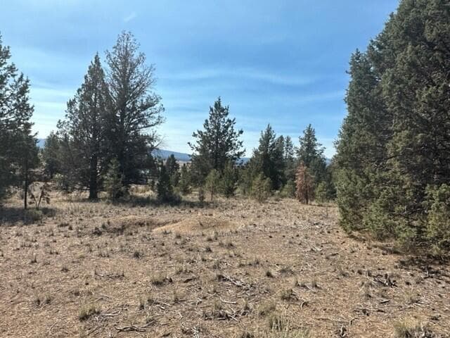 20230925220004760383000000-o. Photo 3 of 16, 0 Mountain Mahogany Lane Unit Lot 24, Sprague River, OR 97639
