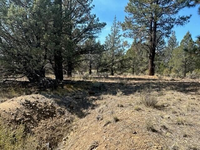 20230925220005643219000000-o. Photo 5 of 16, 0 Mountain Mahogany Lane Unit Lot 24, Sprague River, OR 97639
