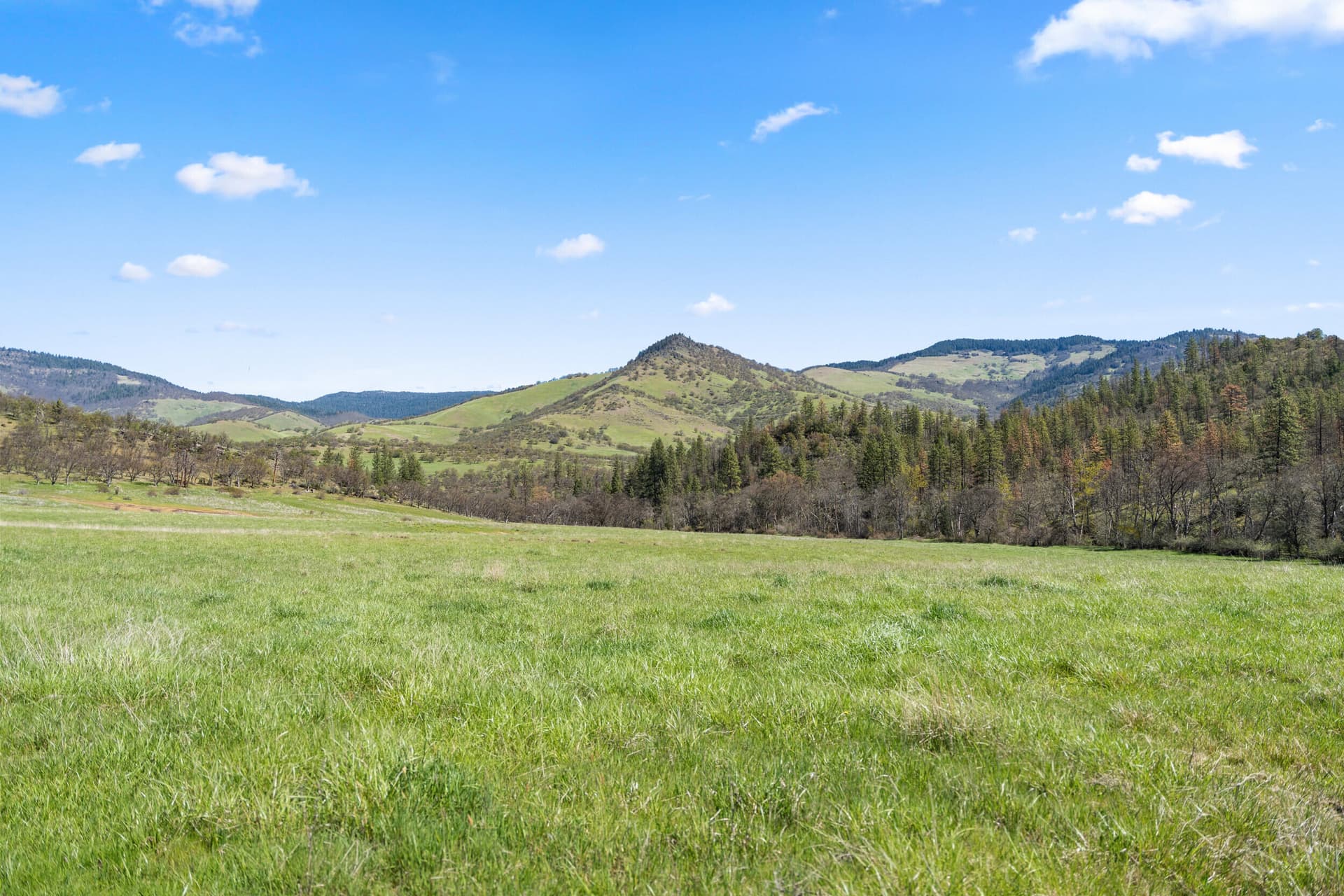 4_2525-buckhorn-03. Photo 1 of 17, Buckhorn Road Unit 1000, Ashland, OR 97520