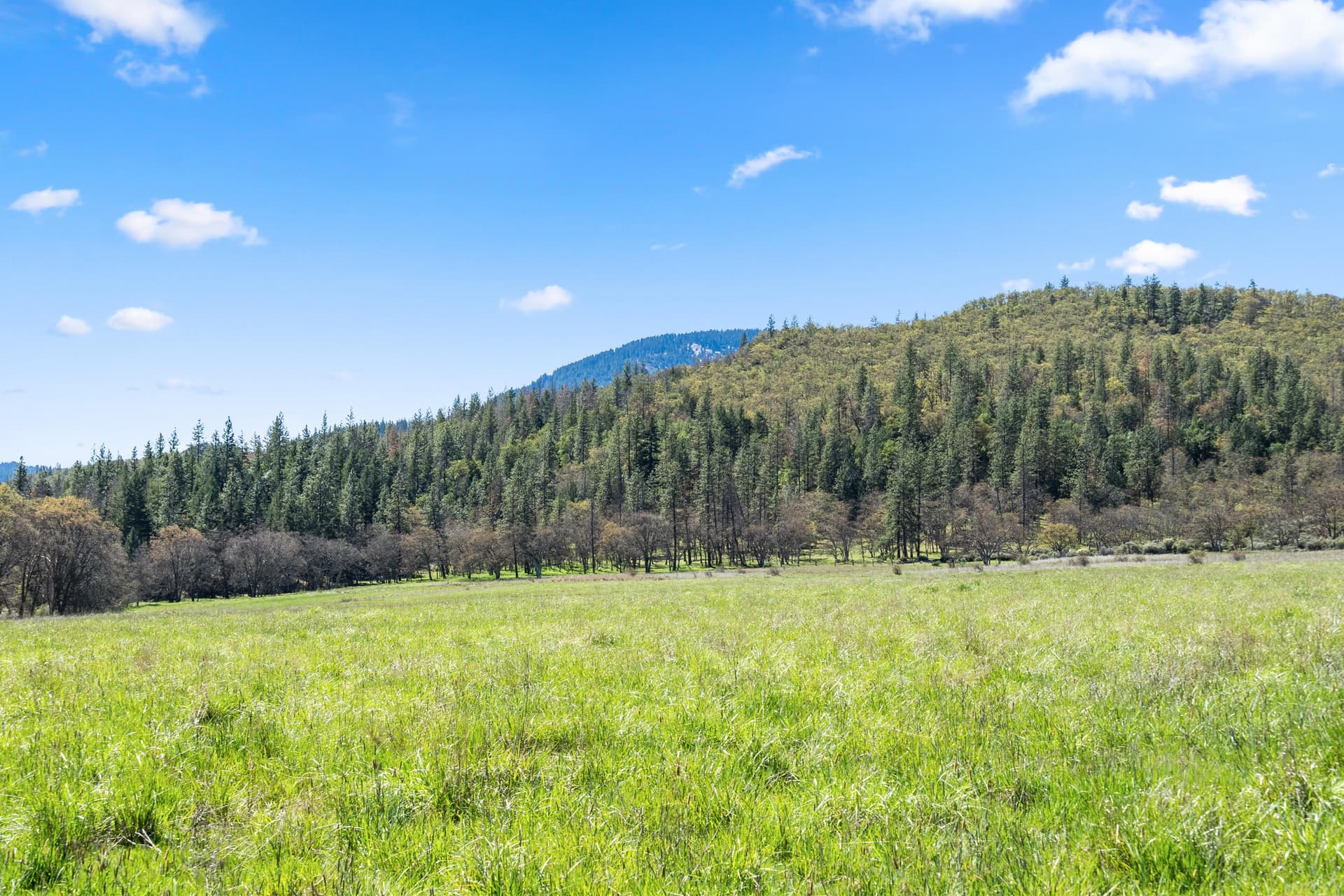 11_2525-buckhorn-09. Photo 4 of 17, Buckhorn Road Unit 1000, Ashland, OR 97520