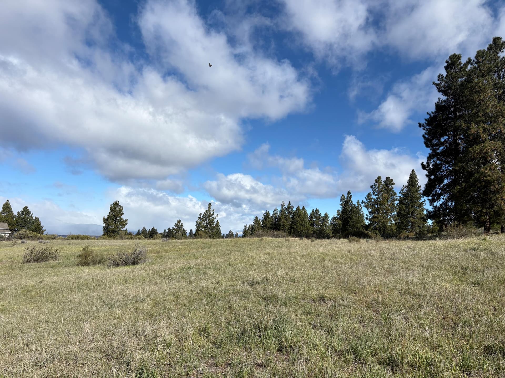 Lot. Photo 1 of 7, 0 Maidu Court Unit Lot 7, Chiloquin, OR 97624