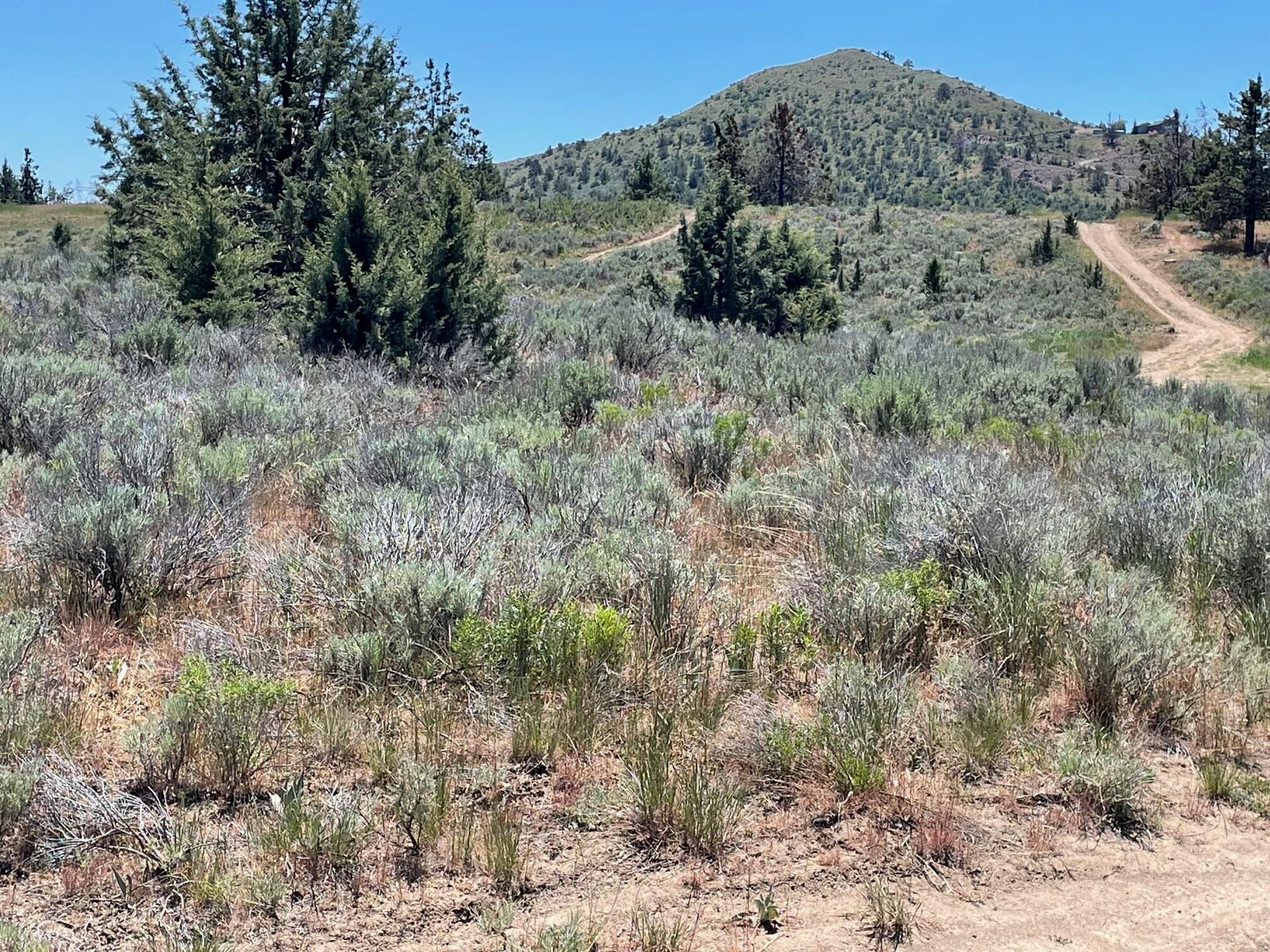 Pic 1 Cregan. Photo 3 of 6, 0 Cregan Street Unit Lot 147-162, Klamath Falls, OR 97601