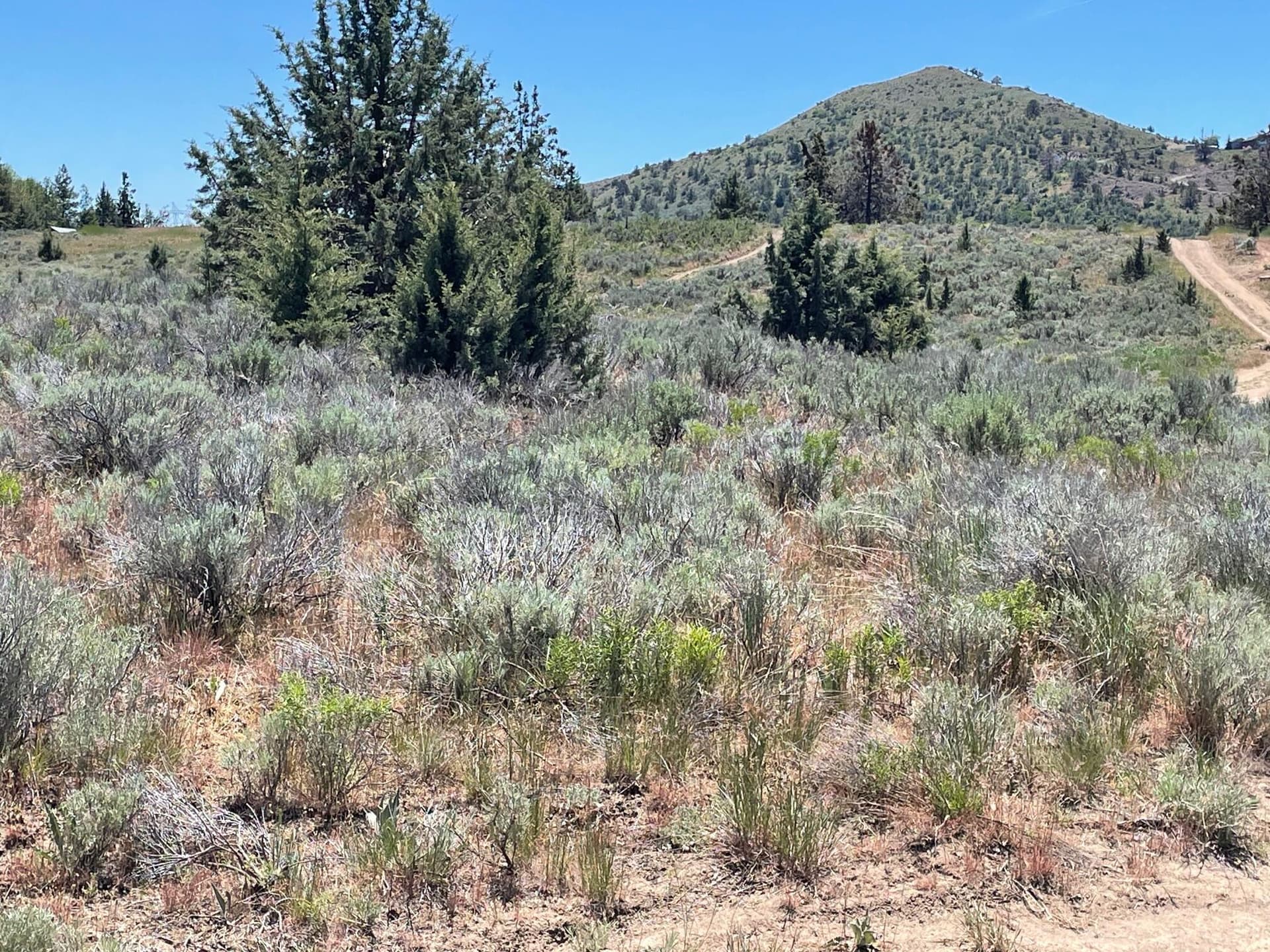 Pic 2. Photo 4 of 6, 0 Cregan Street Unit Lot 147-162, Klamath Falls, OR 97601