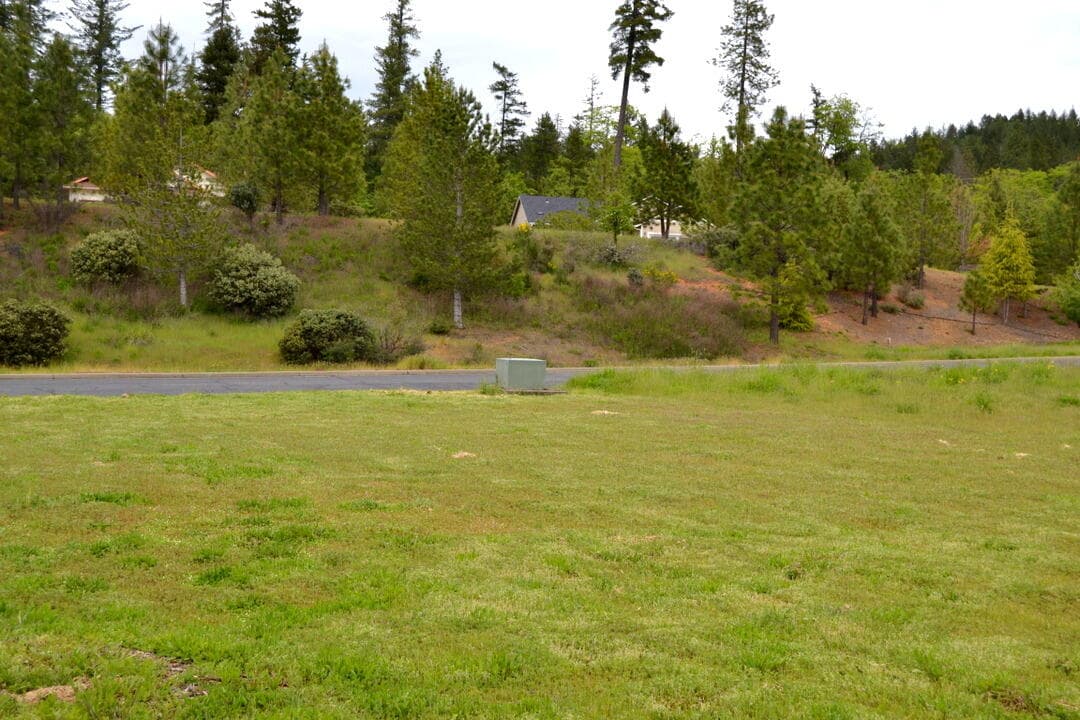 DSC_8509-001. Photo 4 of 27, 233 Red Cedar Lane, Cave Junction, OR 97523
