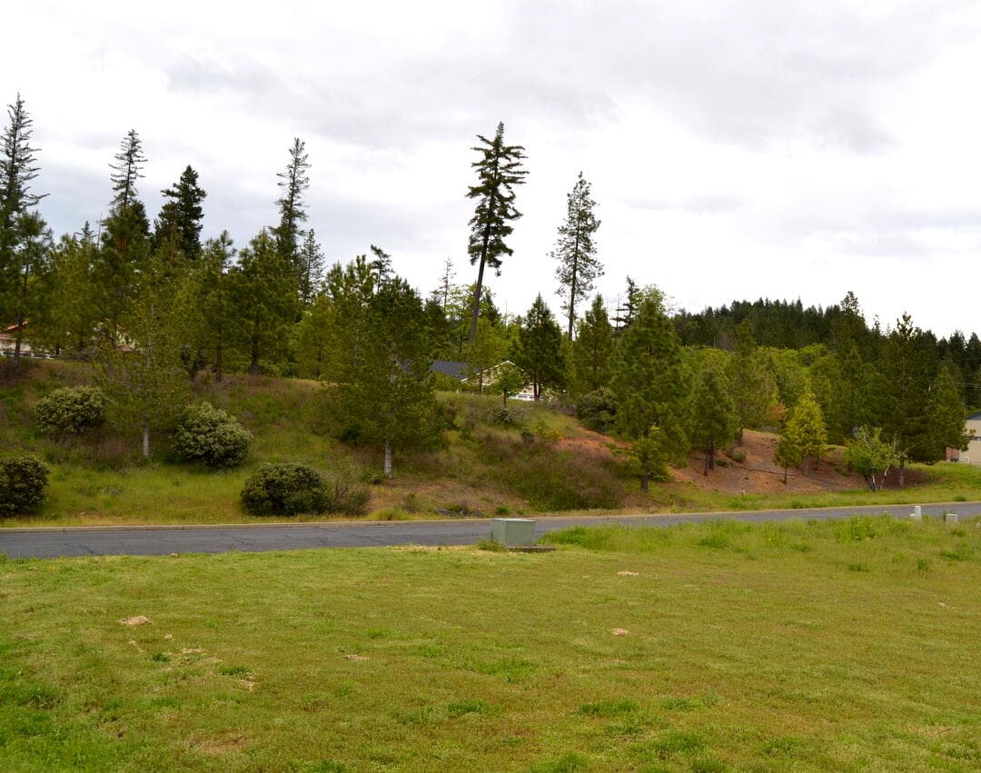 DSC_8508-002. Photo 1 of 27, 233 Red Cedar Lane, Cave Junction, OR 97523