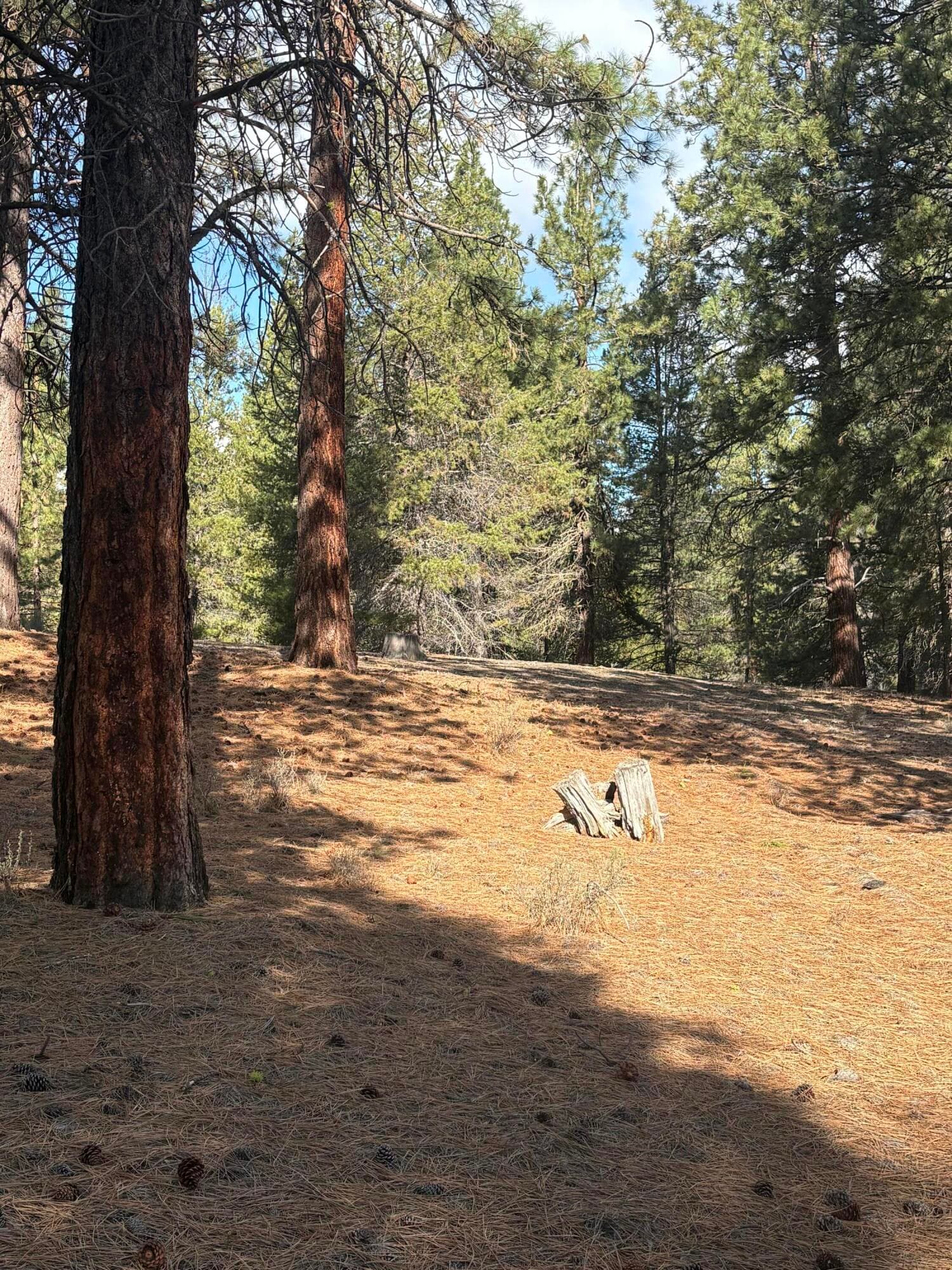 Land. Photo 3 of 8, 0 Pine Ridge Loop Unit Lot 5, Chiloquin, OR 97624
