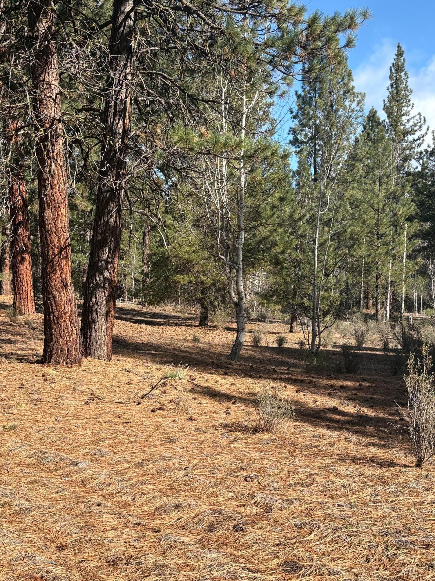 Land. Photo 4 of 8, 0 Pine Ridge Loop Unit Lot 5, Chiloquin, OR 97624