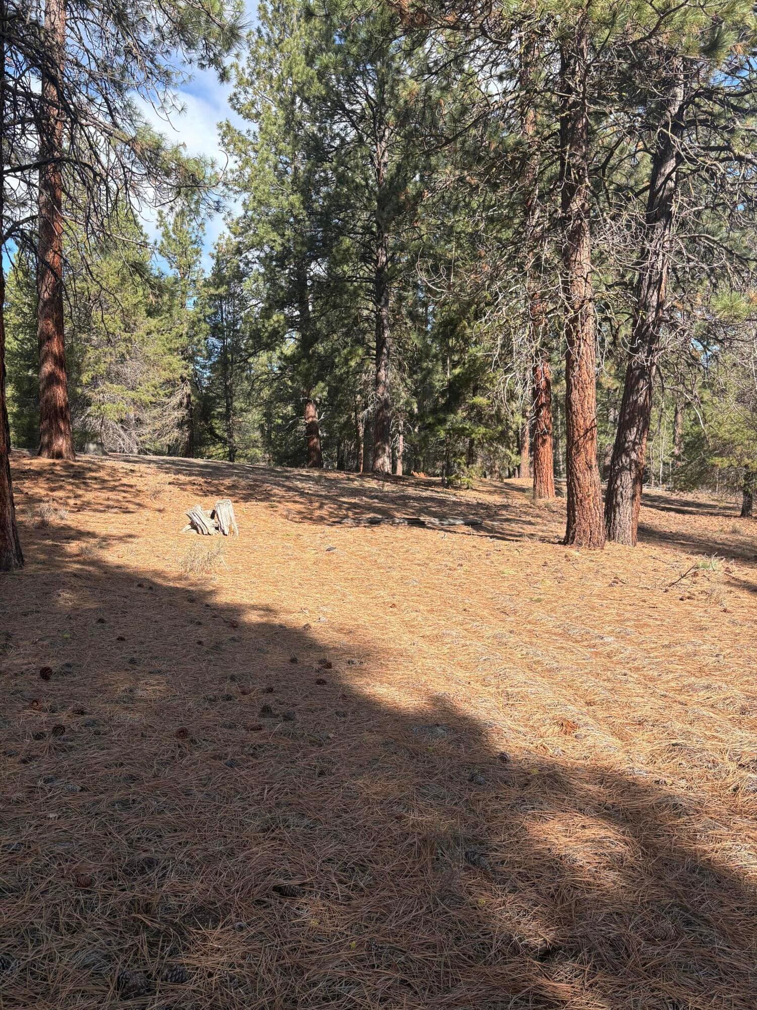 Lot. Photo 5 of 8, 0 Pine Ridge Loop Unit Lot 5, Chiloquin, OR 97624