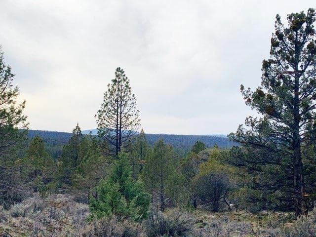 Lot. Photo 1 of 1, 0 Widgeon Drive Unit Lots 1, 2 & 3, Bonanza, OR 97623