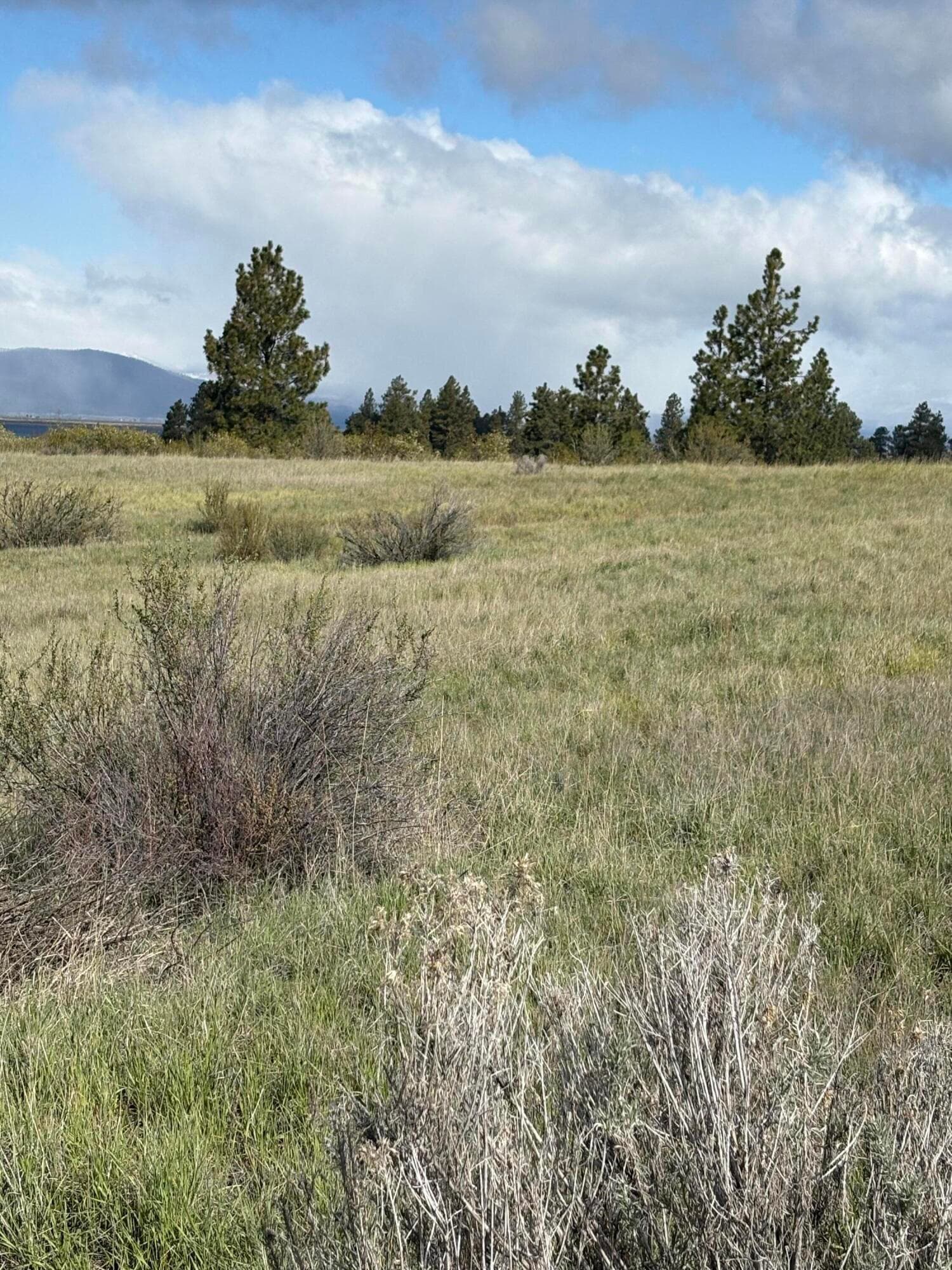 Lot. Photo 2 of 7, 0 Maidu Court Unit Lot 7, Chiloquin, OR 97624