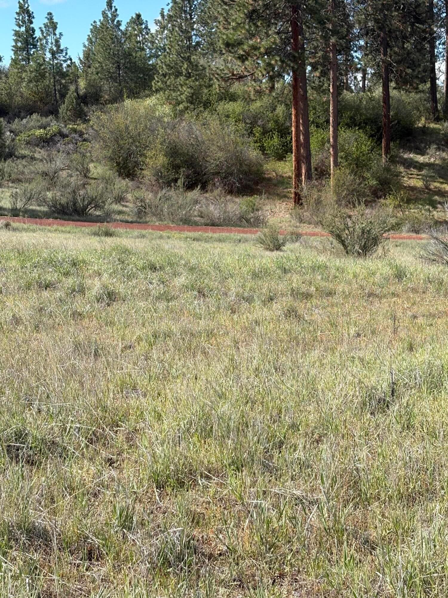 Lot. Photo 3 of 7, 0 Maidu Court Unit Lot 7, Chiloquin, OR 97624