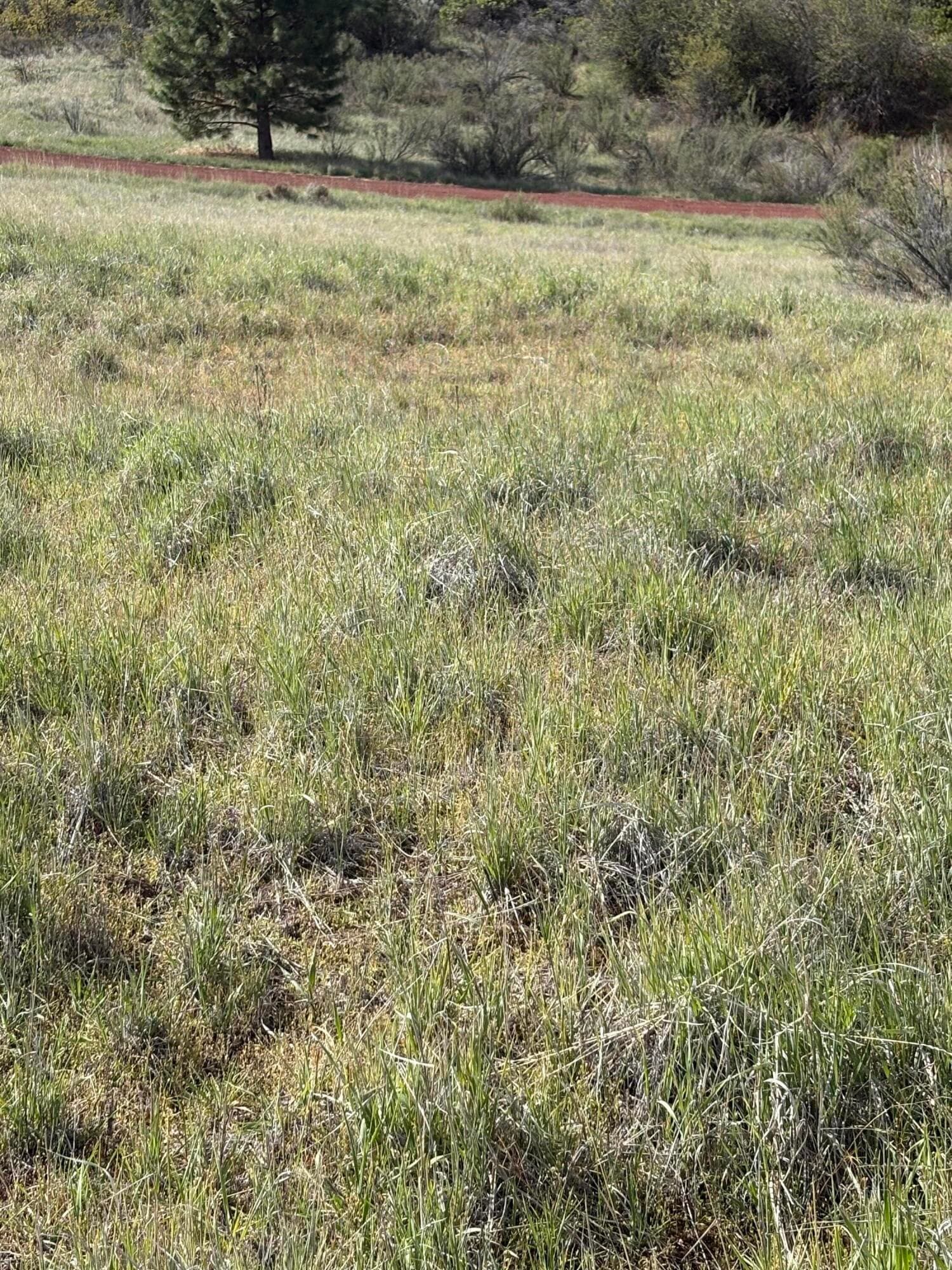 Lot. Photo 4 of 7, 0 Maidu Court Unit Lot 7, Chiloquin, OR 97624