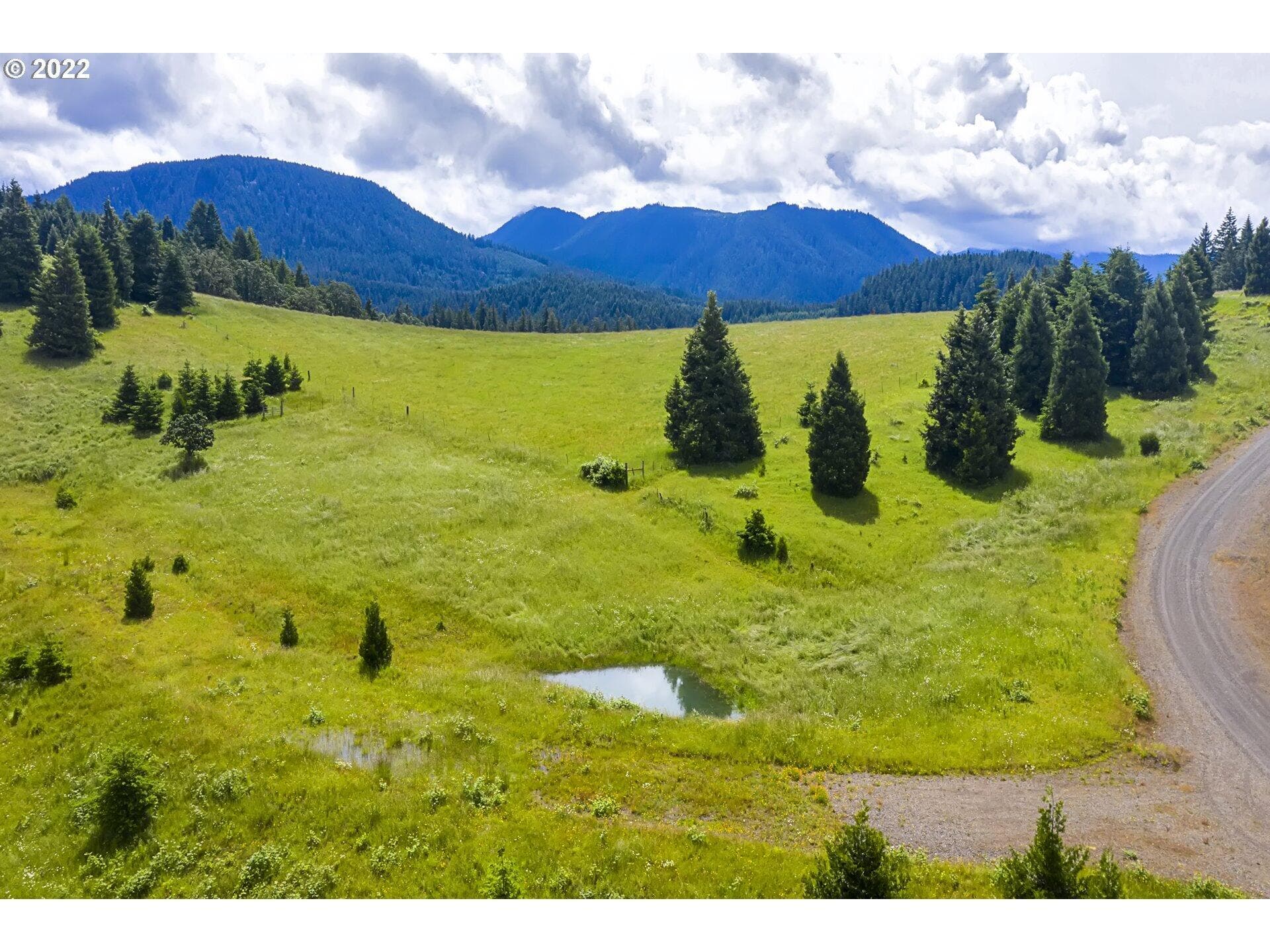 22227729-1. Photo 1 of 7, Bugle Loop Unit TL 1304, Oakridge, OR 97463